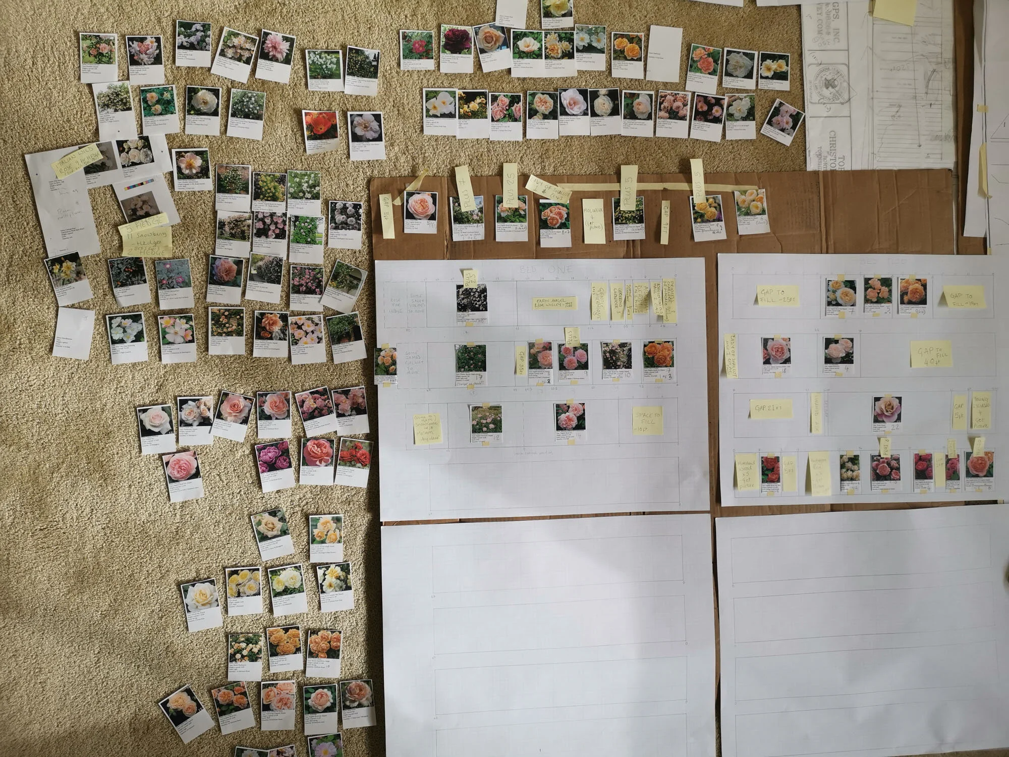 Becky Crowley floral and garden design portfolio — Becky Crowley