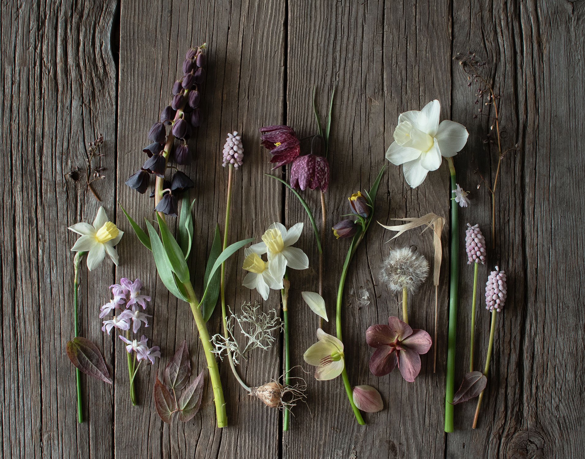 March: A month of contrasts โ Becky Crowley