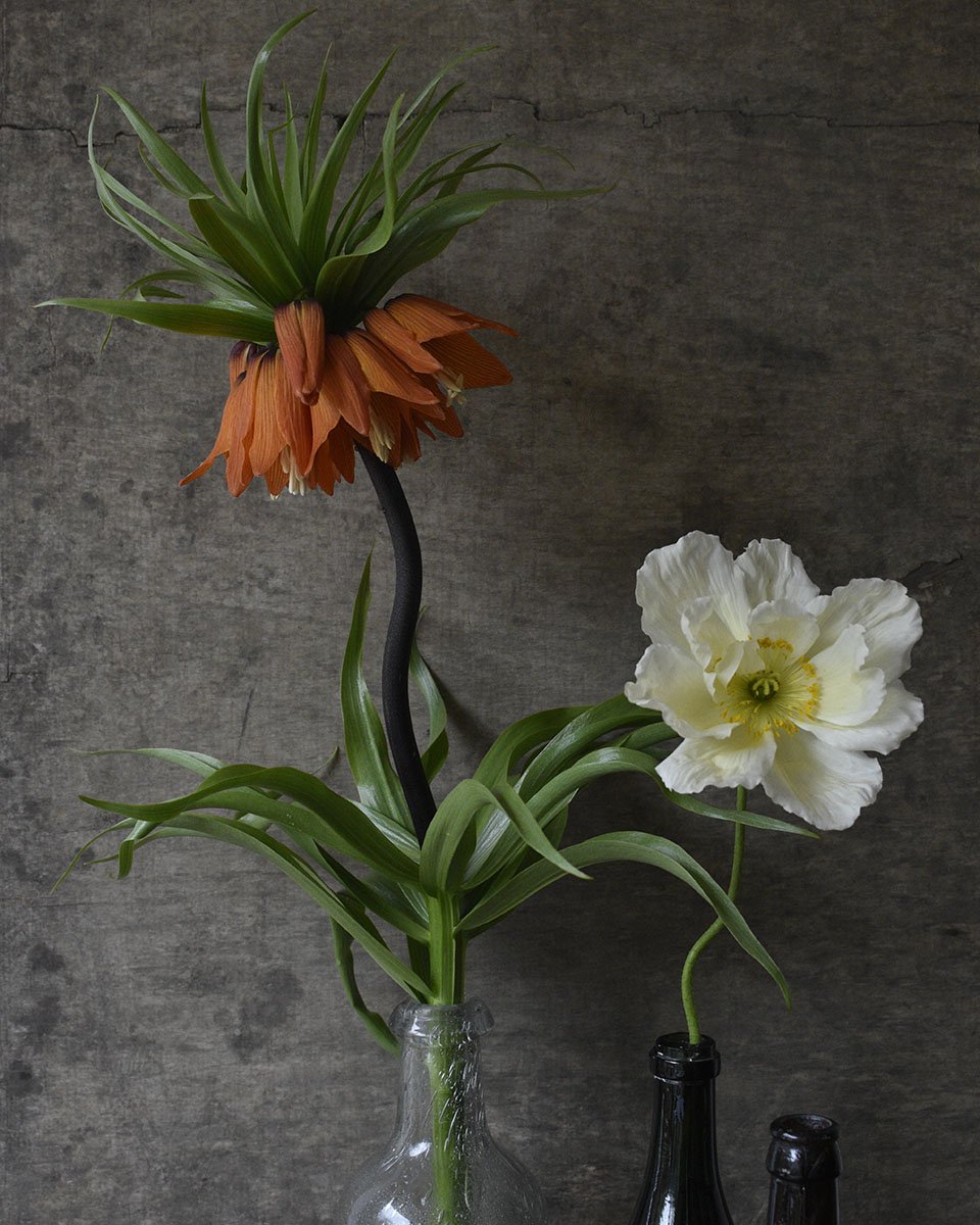 Frit and poppy in bottles.jpg