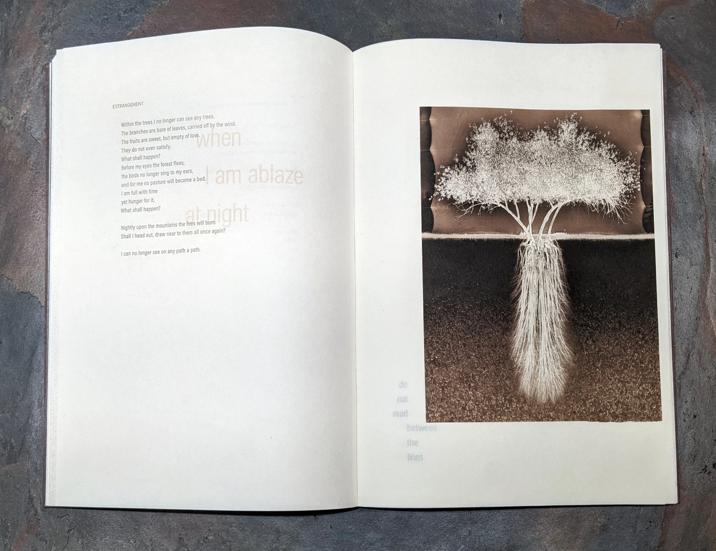  Interior page spread 