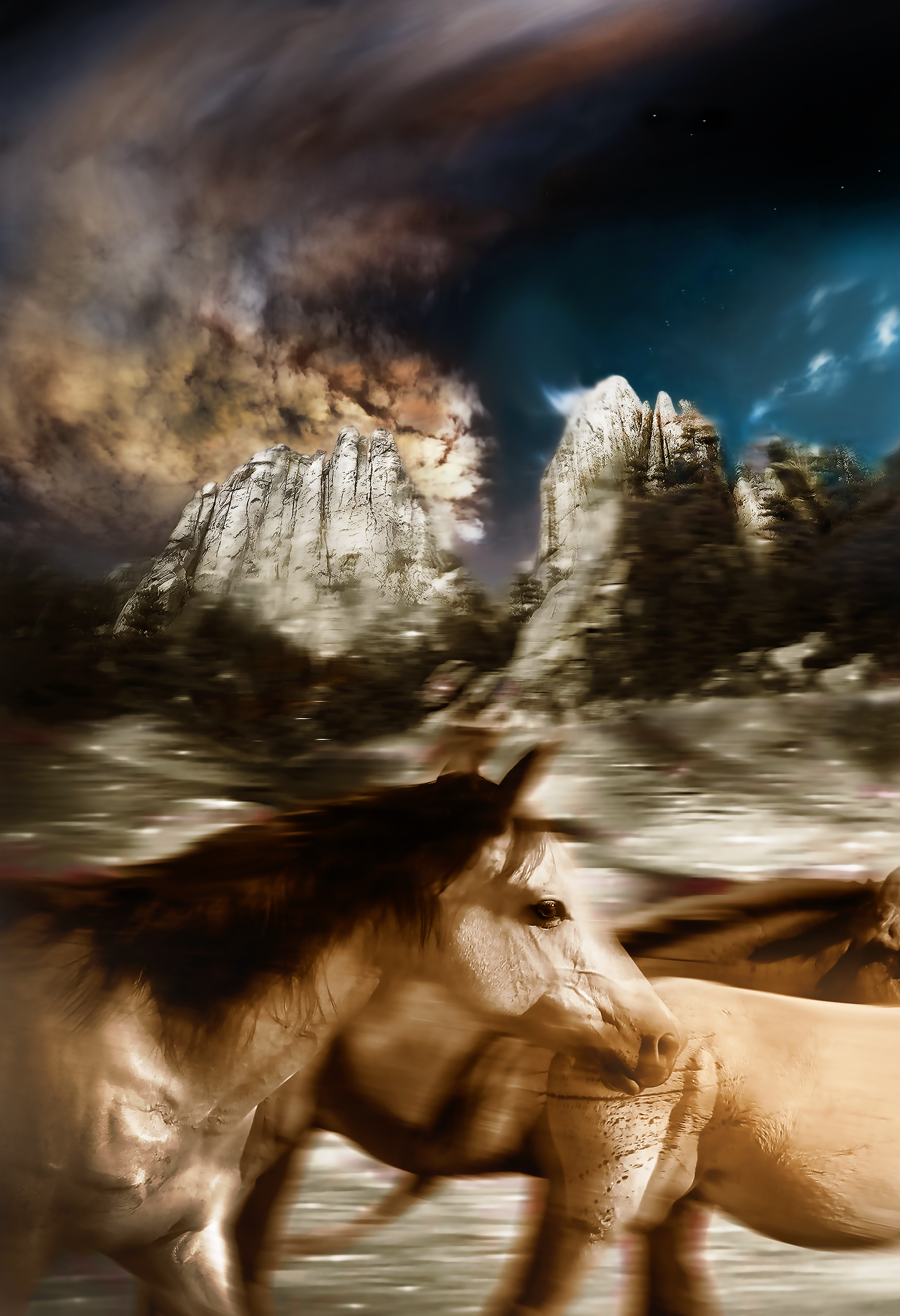  Sunkawakhan (horses) photographed near Pine Ridge Reservation, 2025  