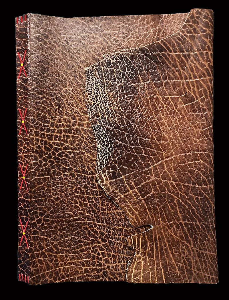  American Bison hide full cover 