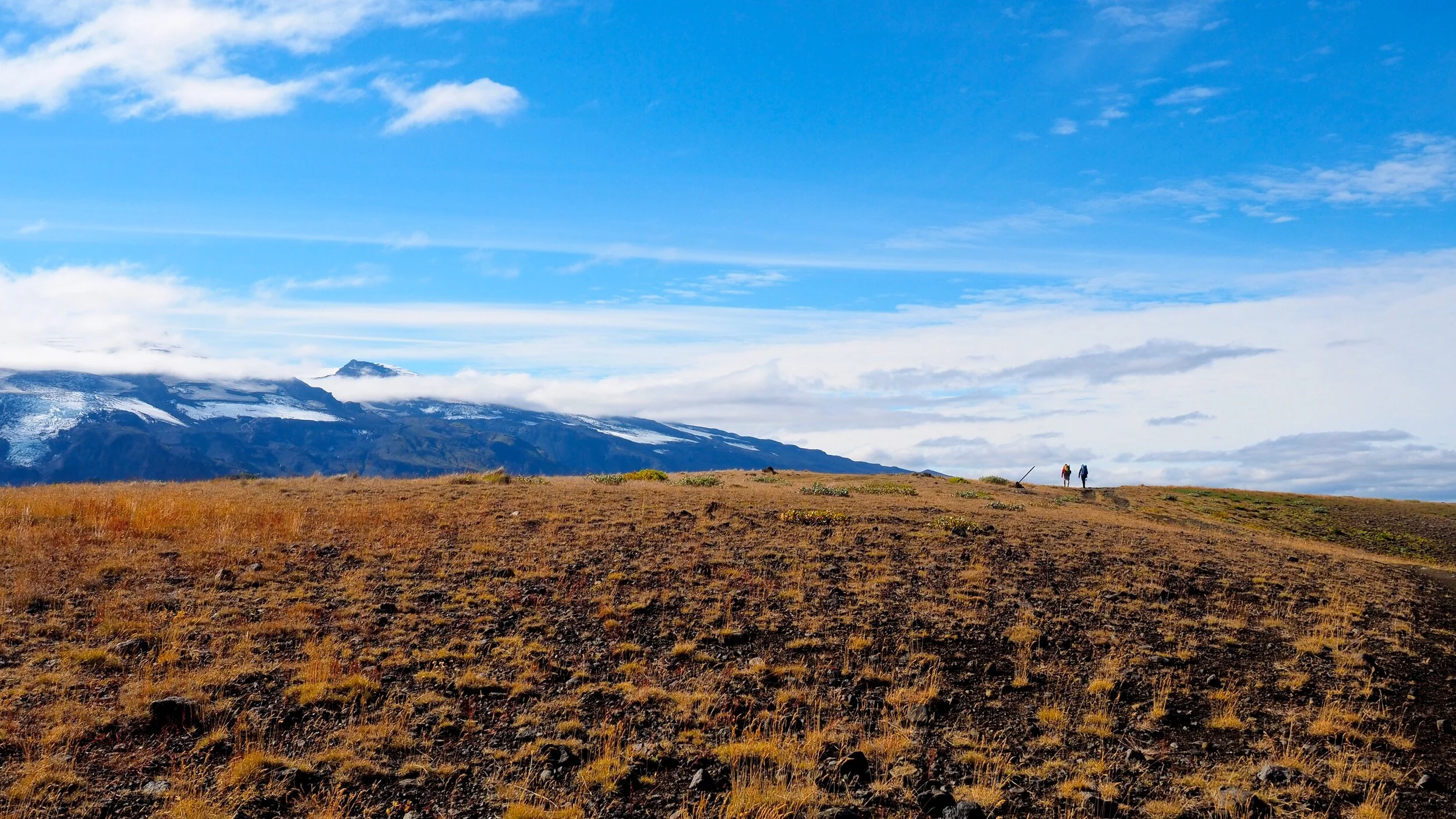 P9050729 - Version 3.JPG