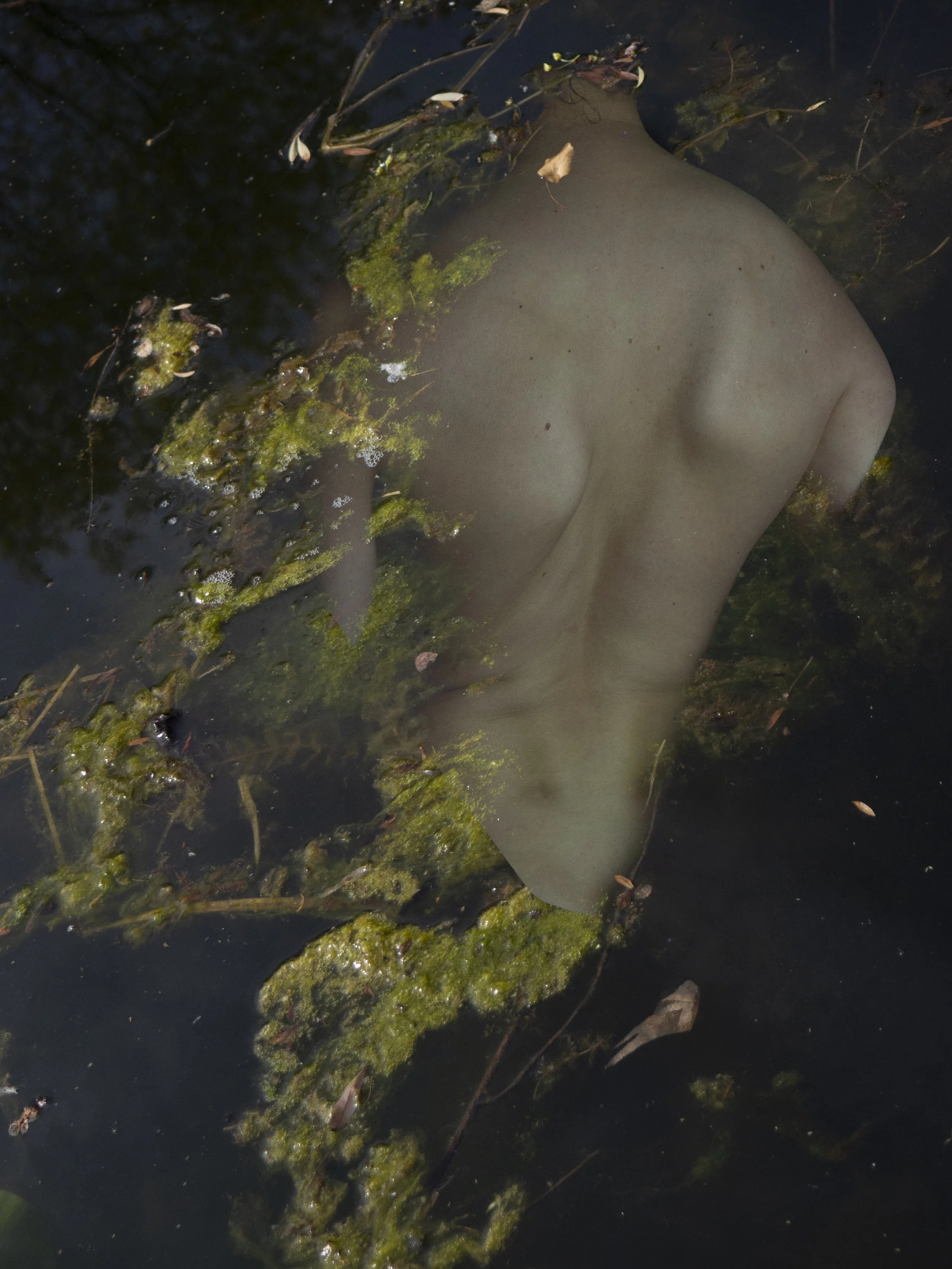 SL1.jpg