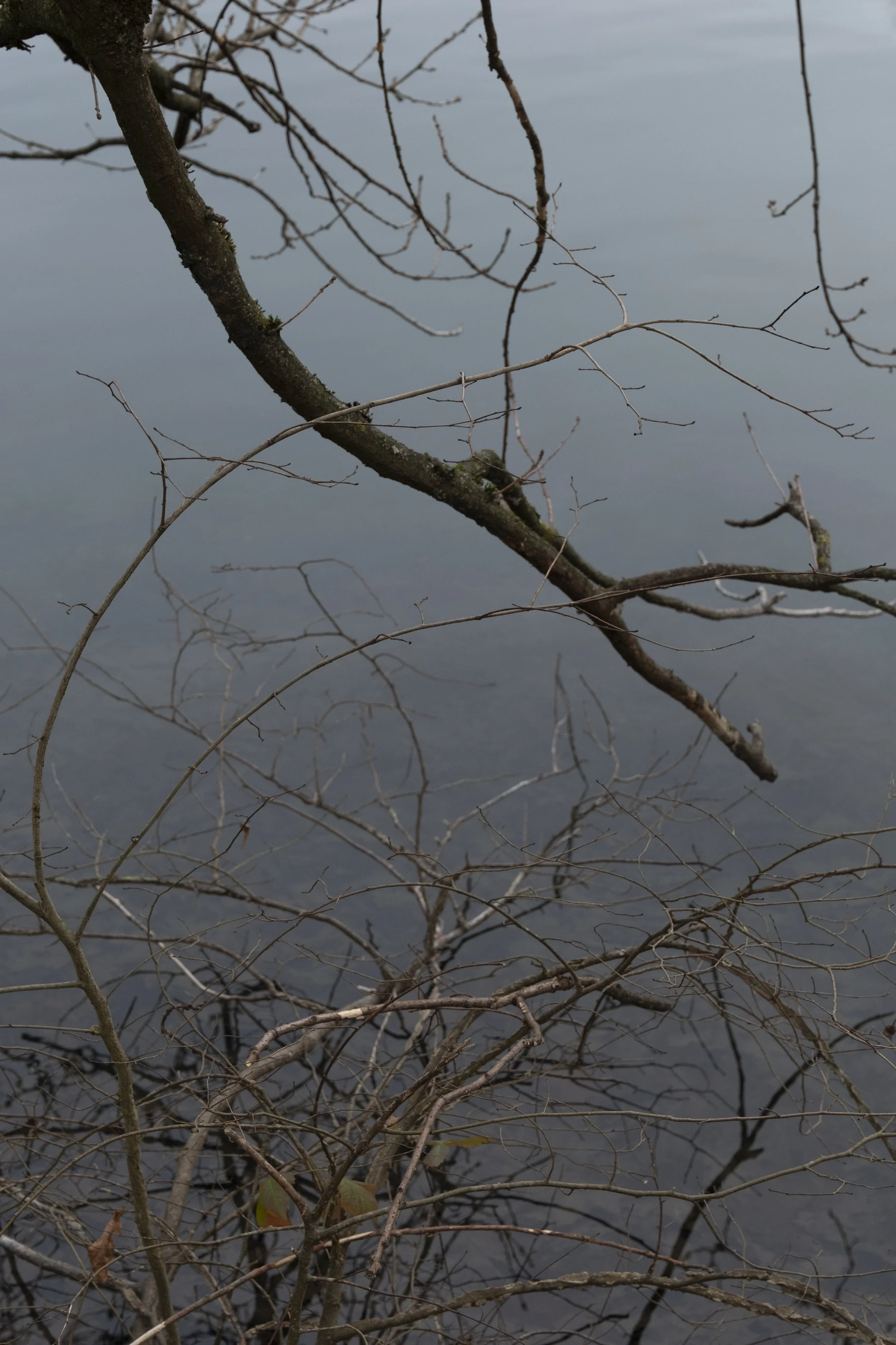 HauntedVB-4.jpg
