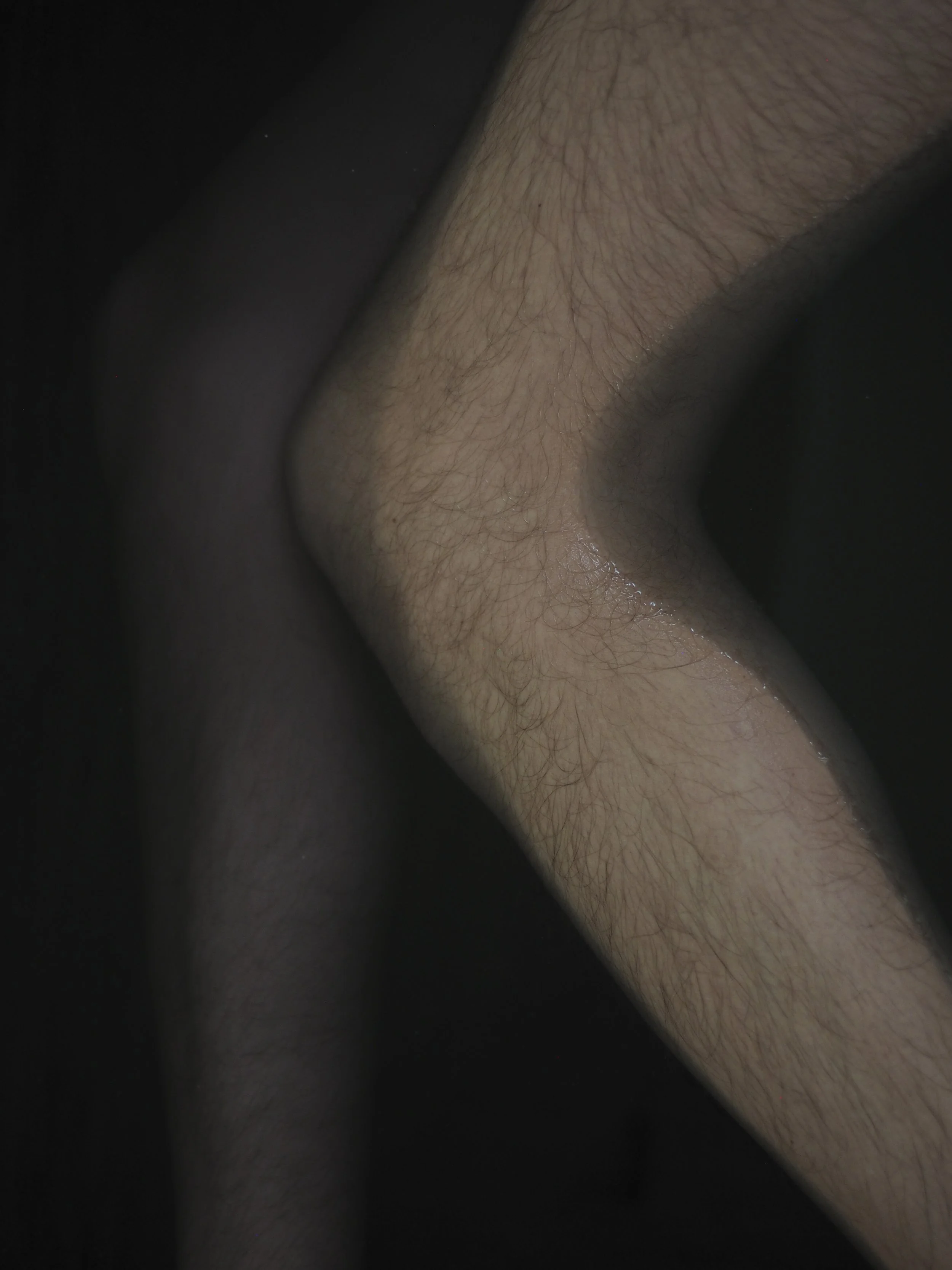 SB9.jpg