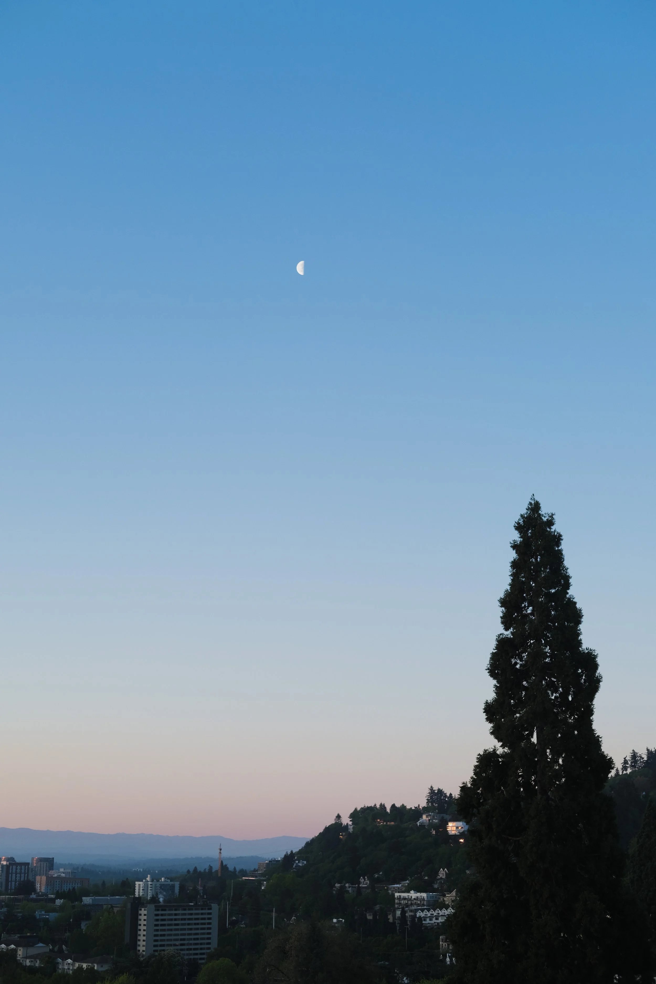 DSCF4504.JPG