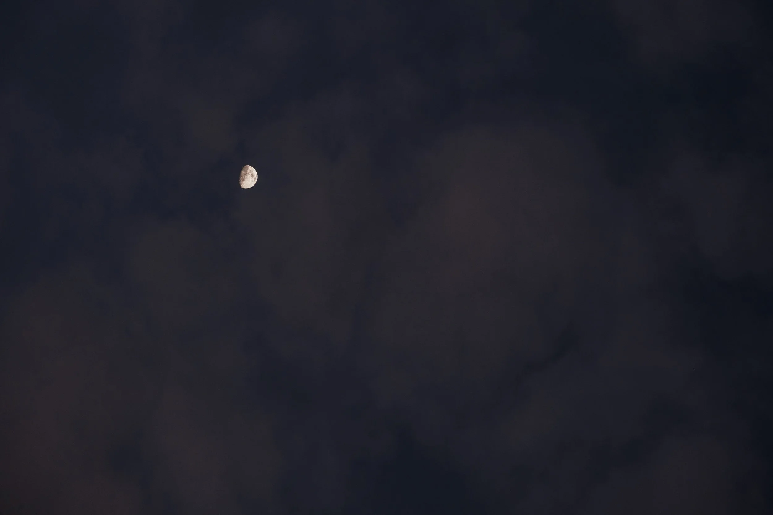 DSCF9662.JPG