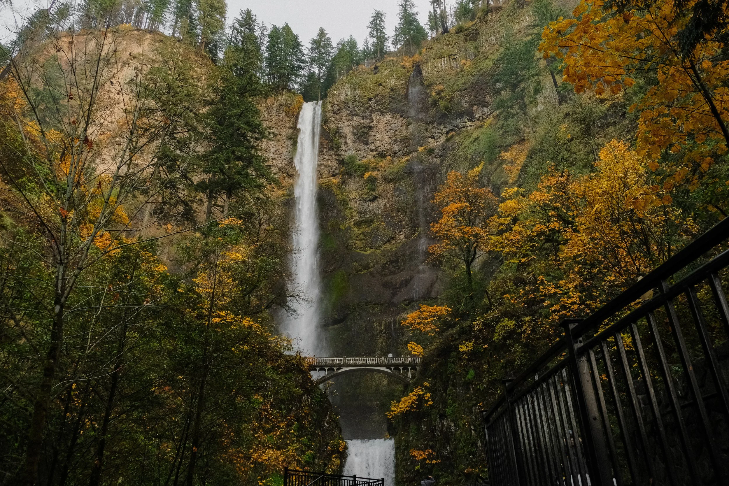 DSCF6324.JPG