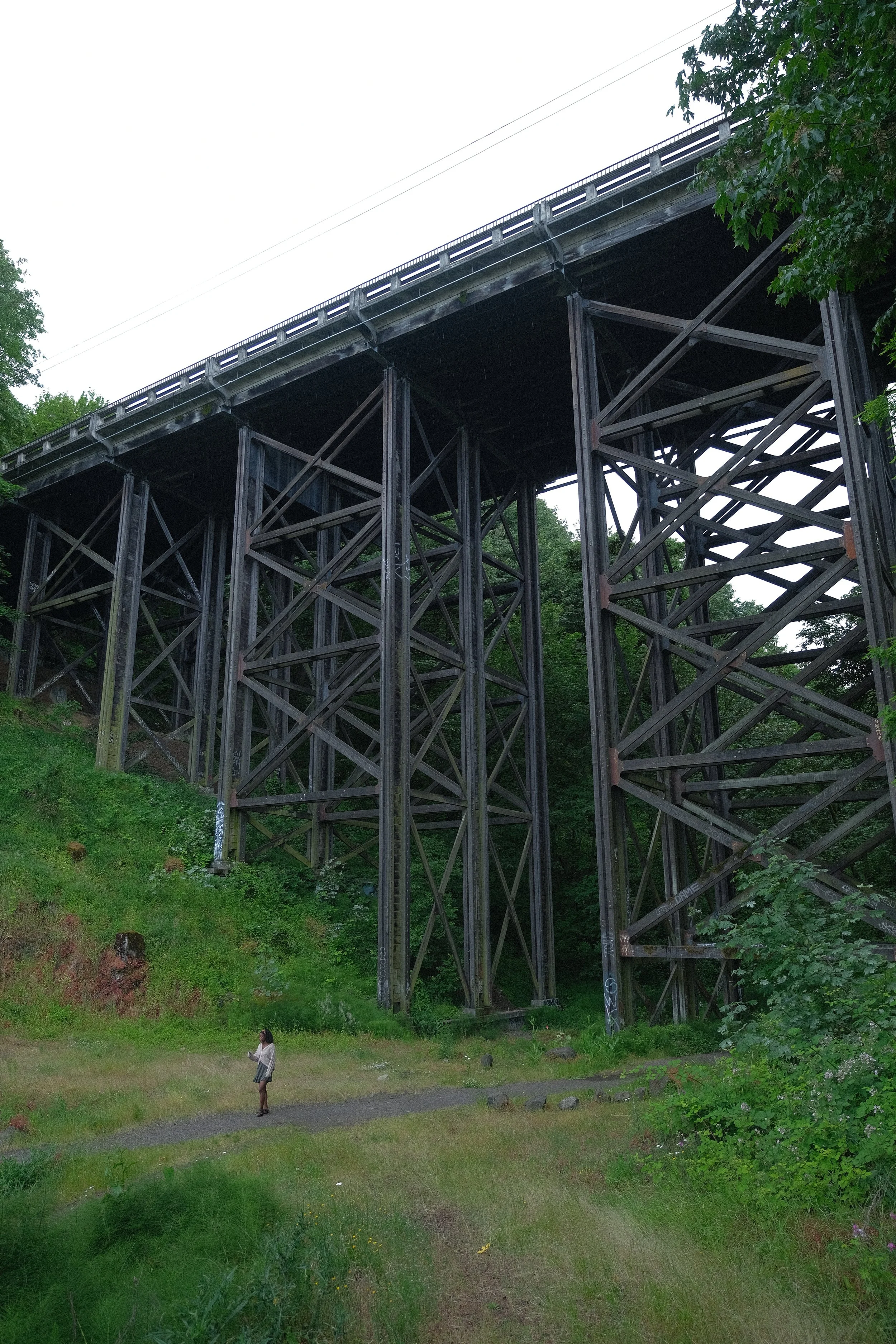 DSCF0118.JPG