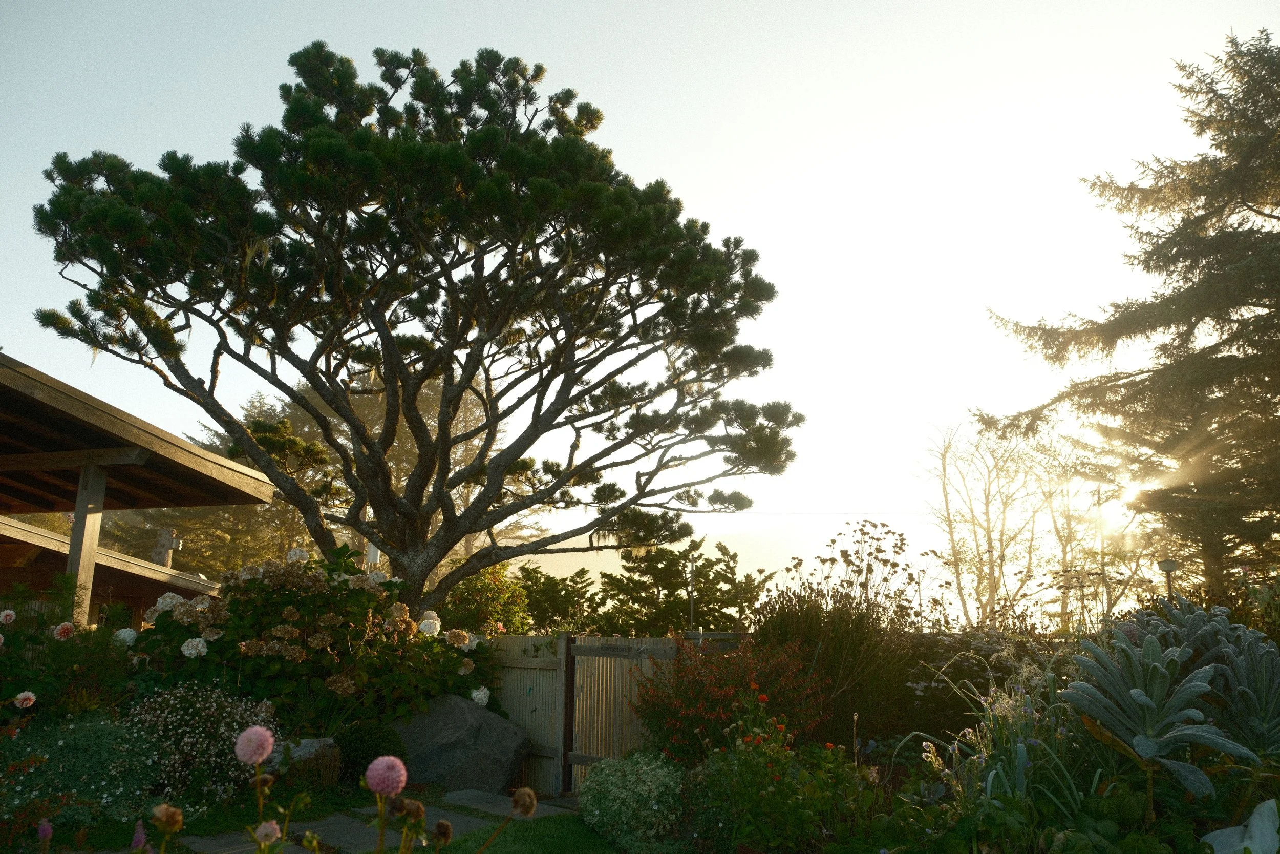 DSCF4946.JPG