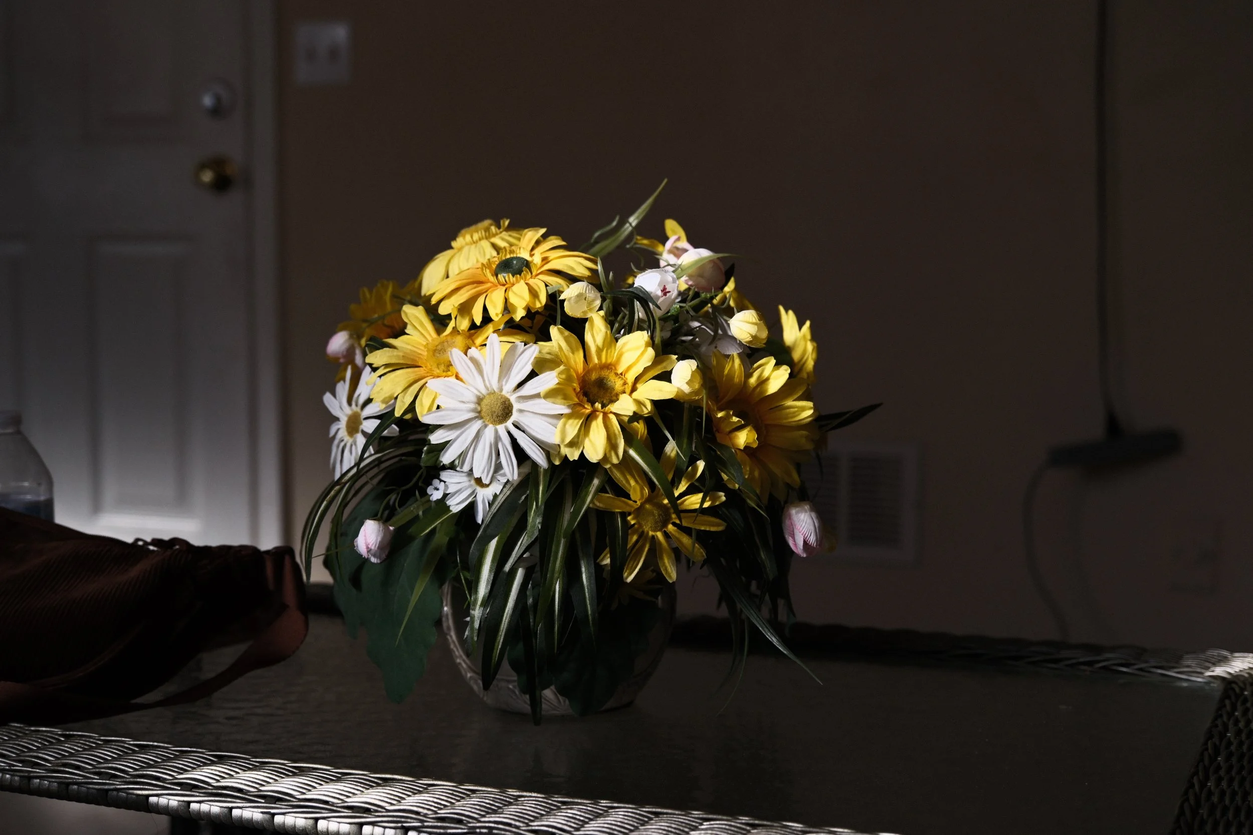 DSCF6526.JPG