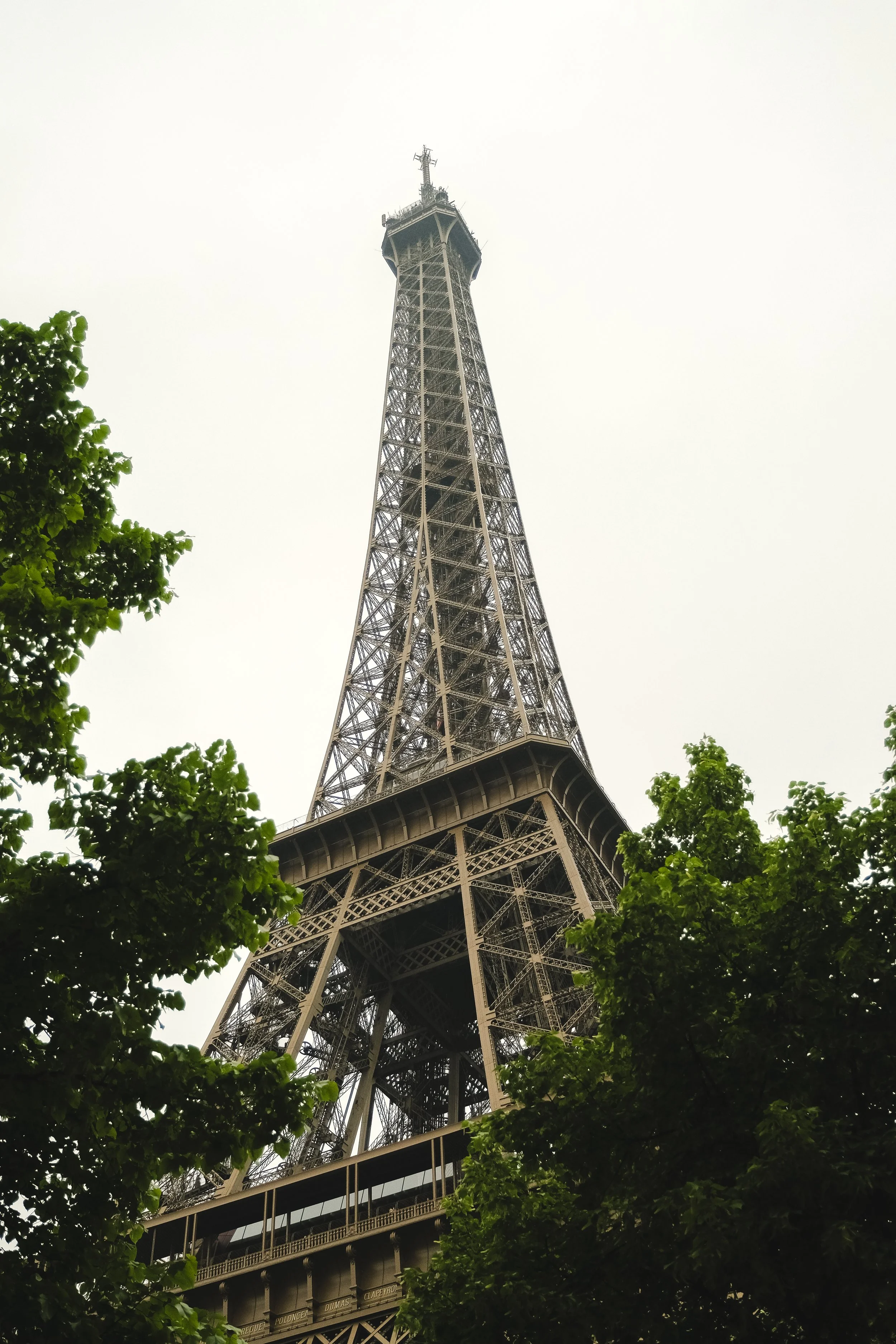 DSCF8238.JPG