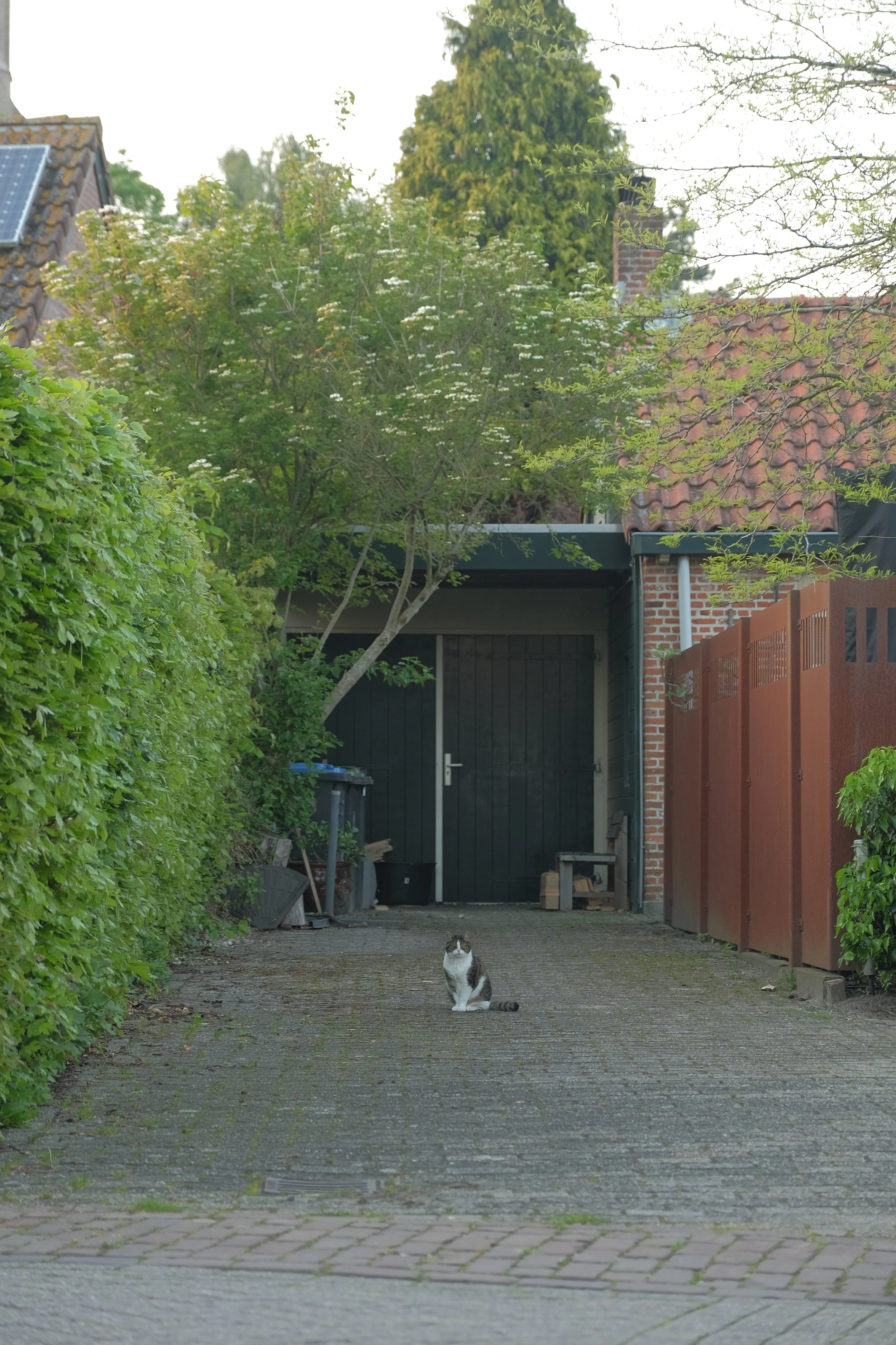 DSCF8471.JPG