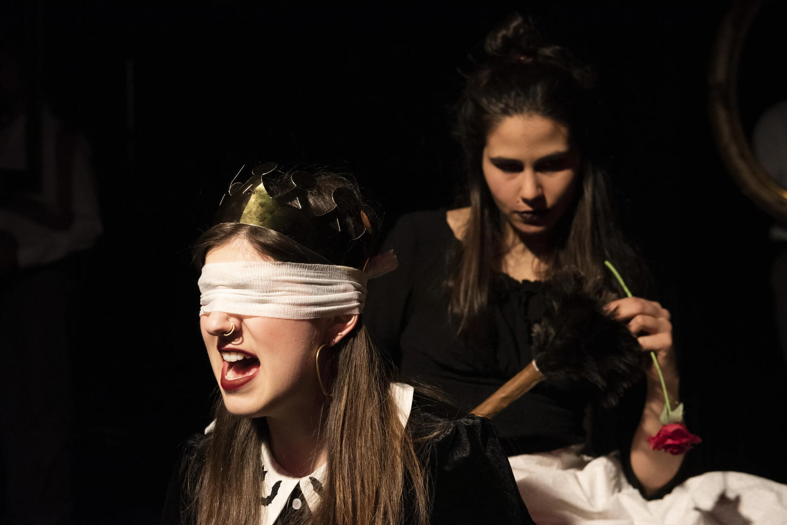 The Secret in the Wings (2020)