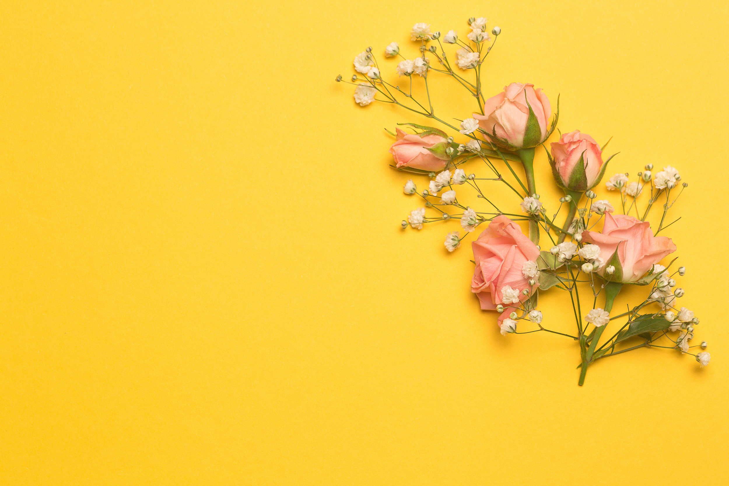 AdobeStock_316440025 (1).jpeg