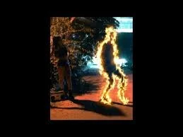 Tiësto – The Business (220 KID Remix) (Video Oficial)