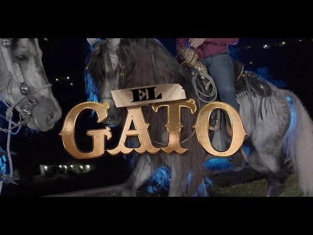 El Fantasma y Grupo Laberinto - El Gato (Video Oficial)