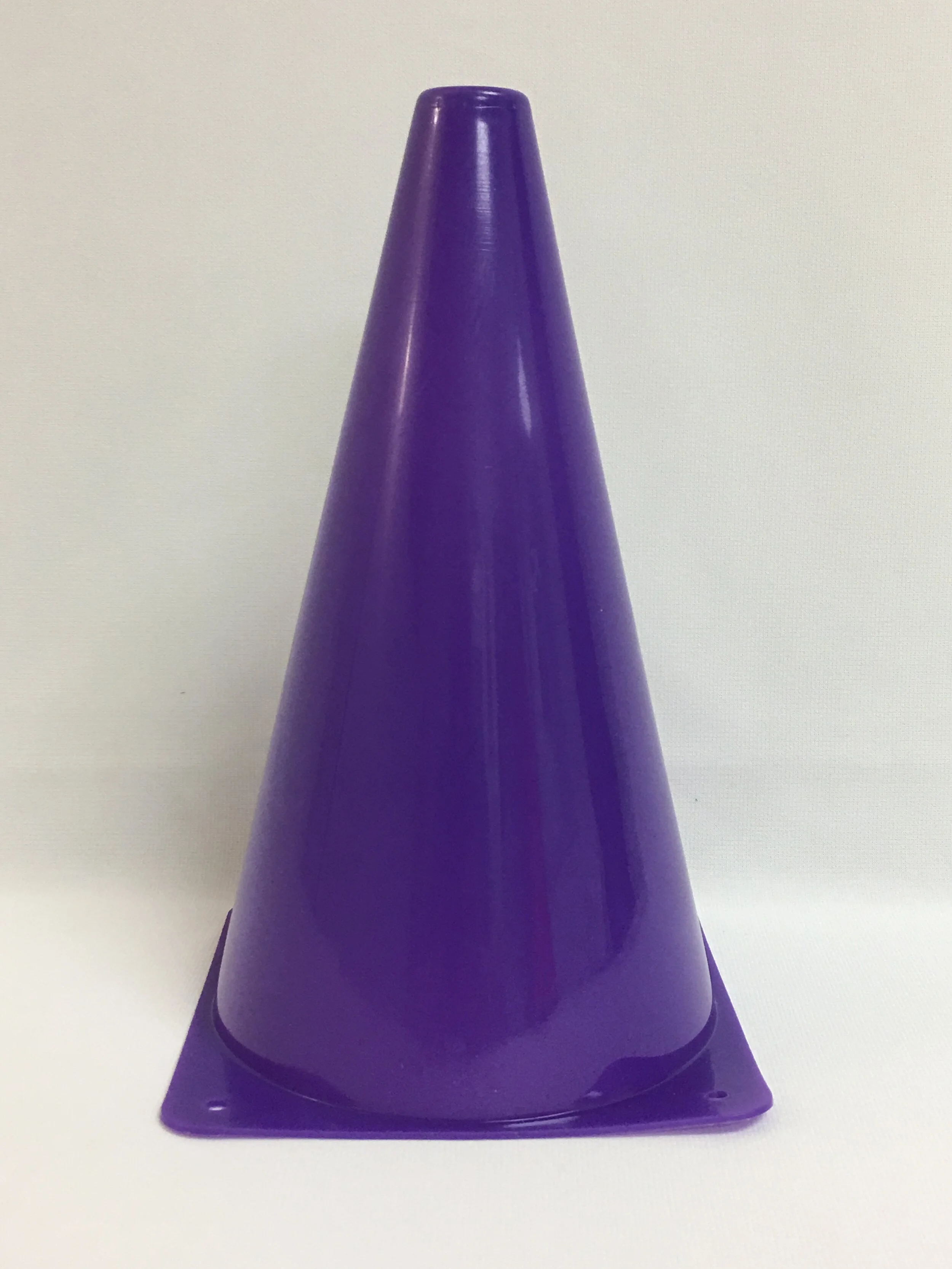 EVB-0095 Plastic Cone - 9 inch - Purple.JPG