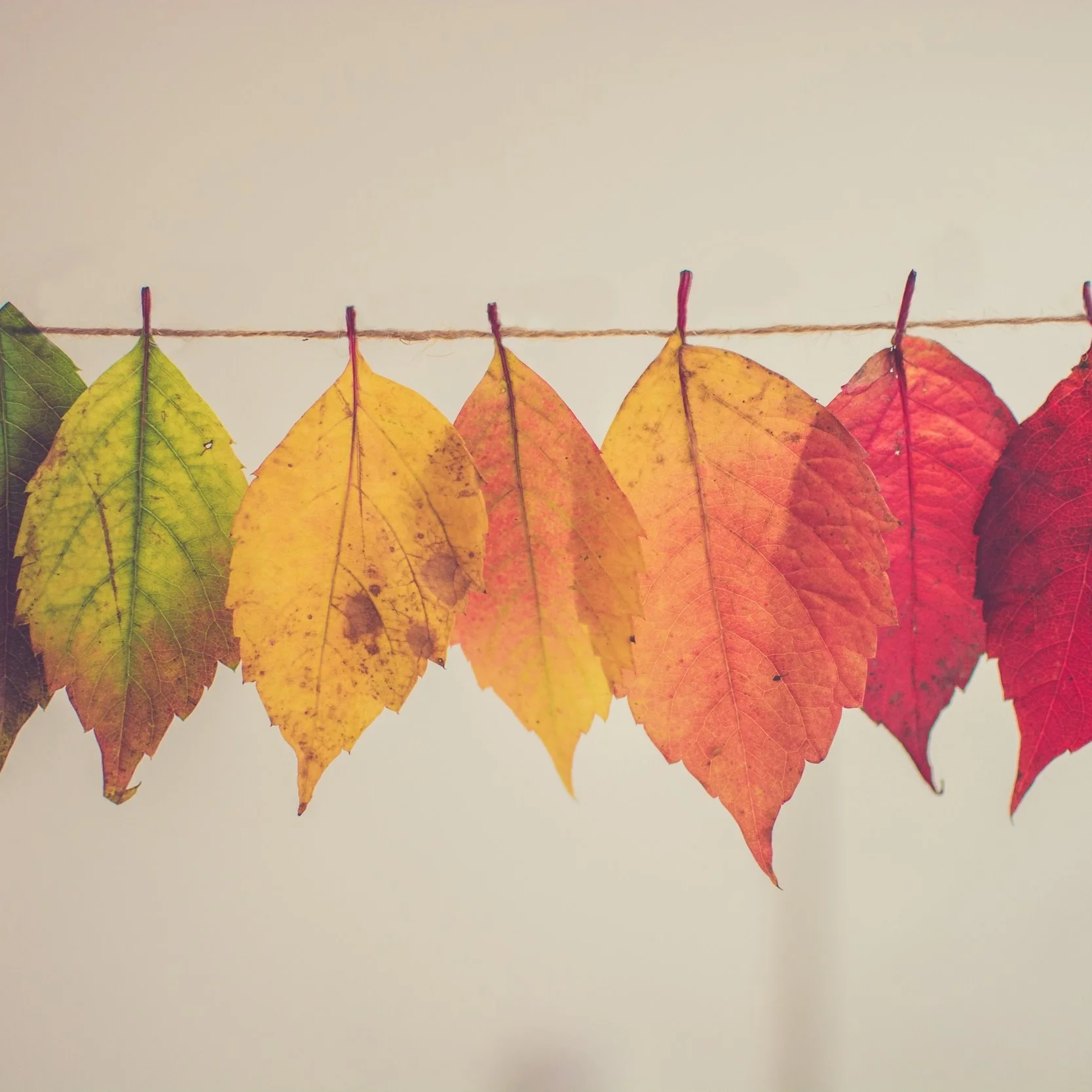 Season by Season