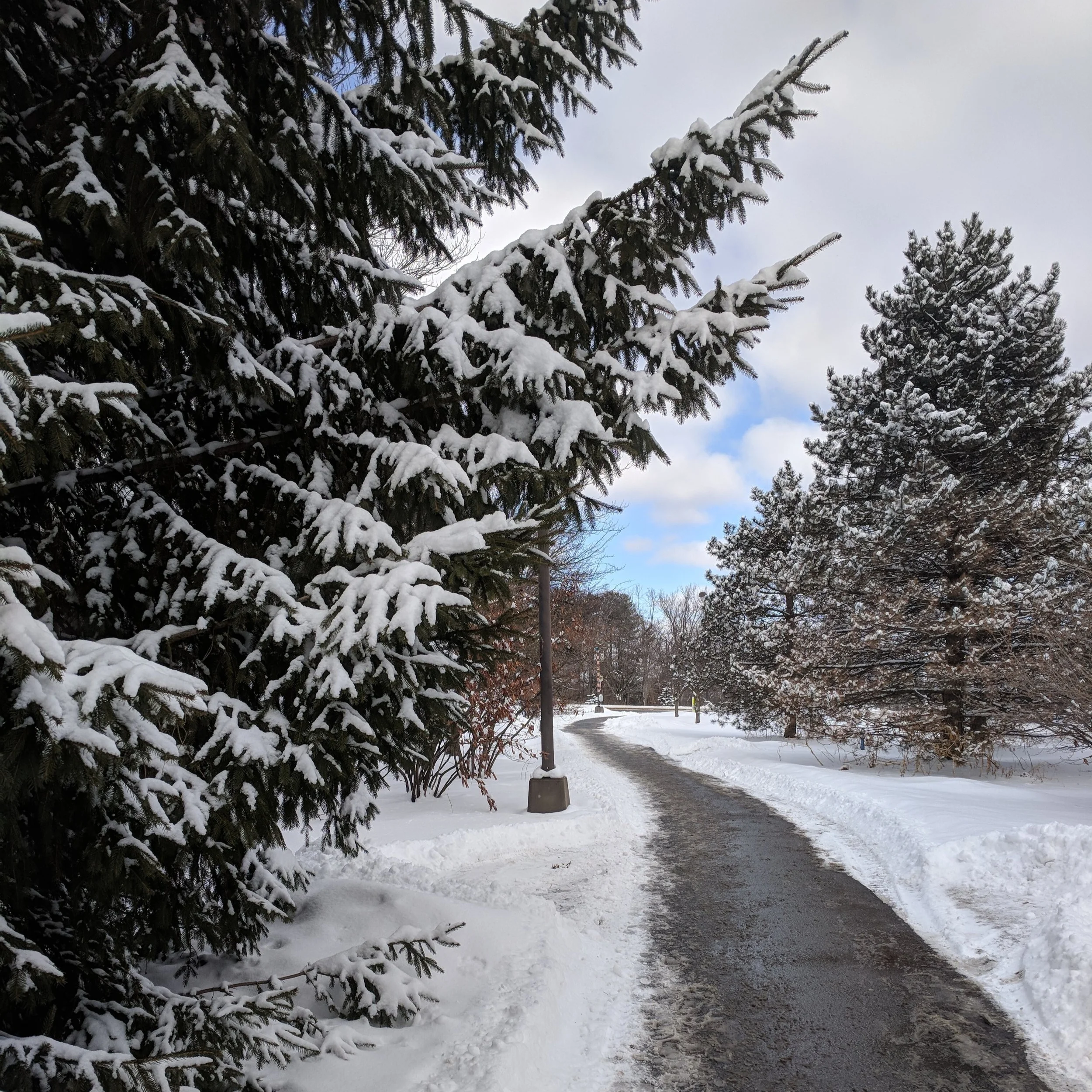 From Winter to Spring