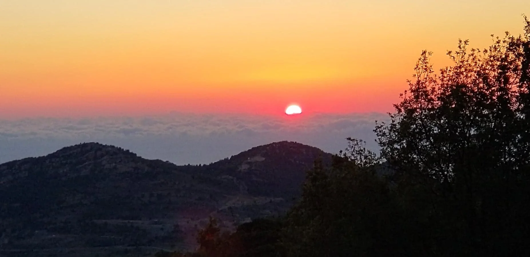 The Heavens Declare