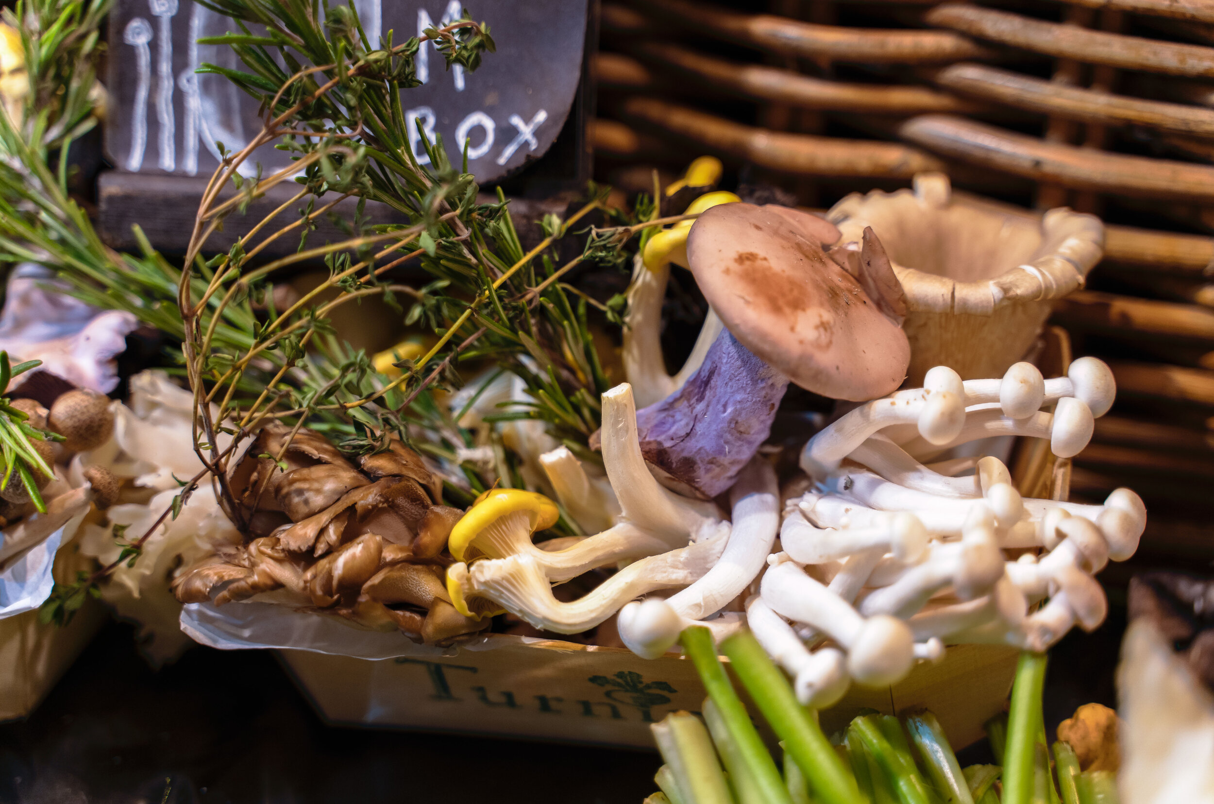 hdr mushrooms 1.jpg