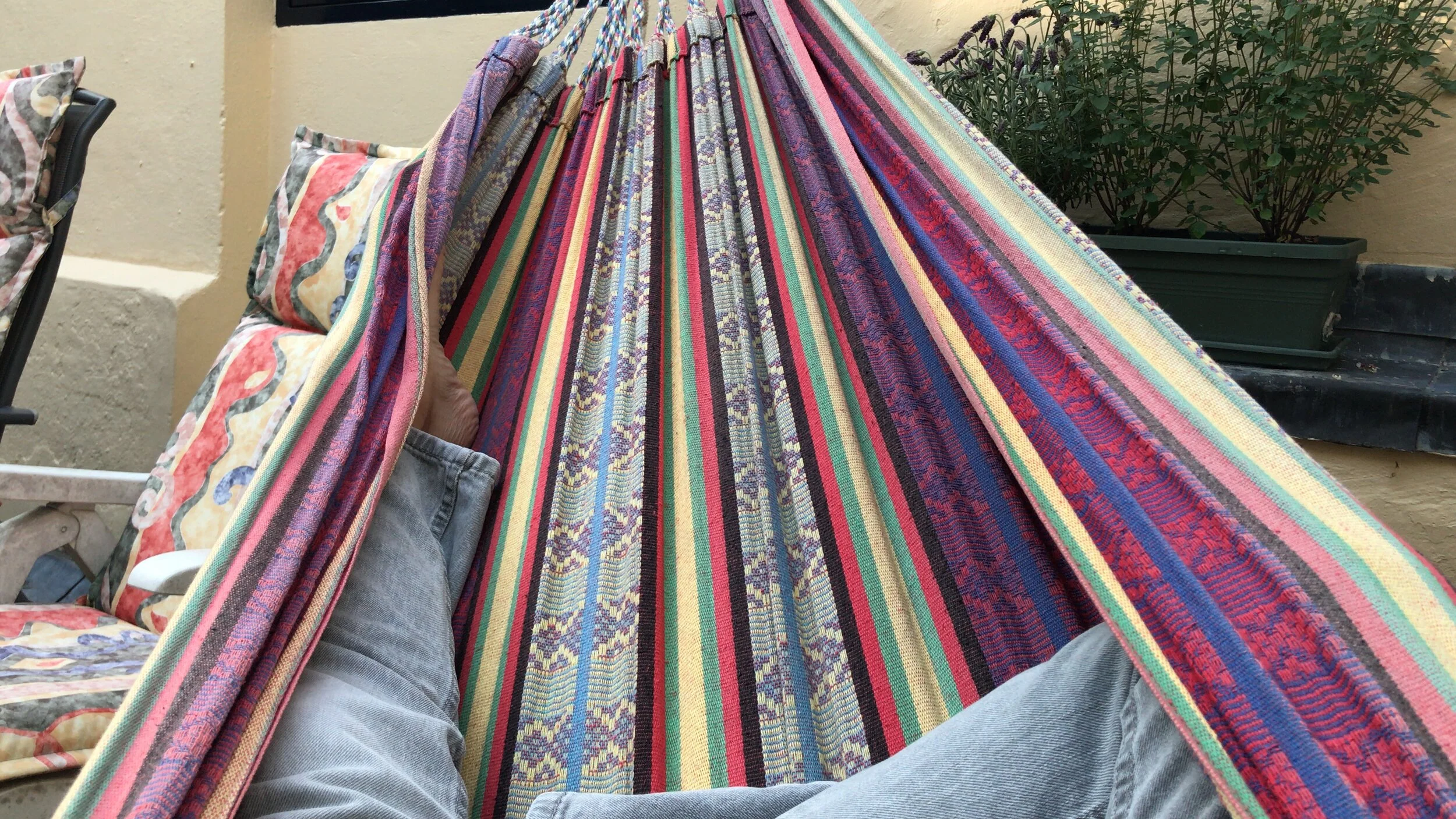 What I'm Up to - Week 36 &amp; 37