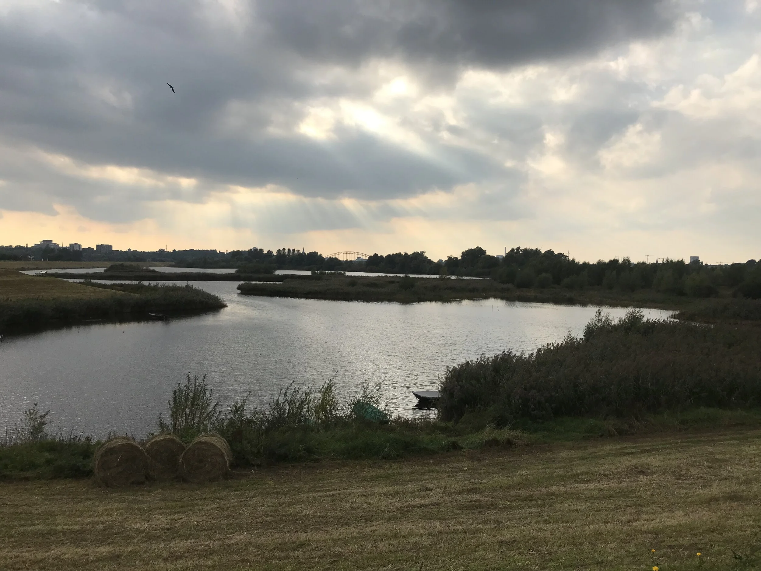 What I'm Up To - Week 38