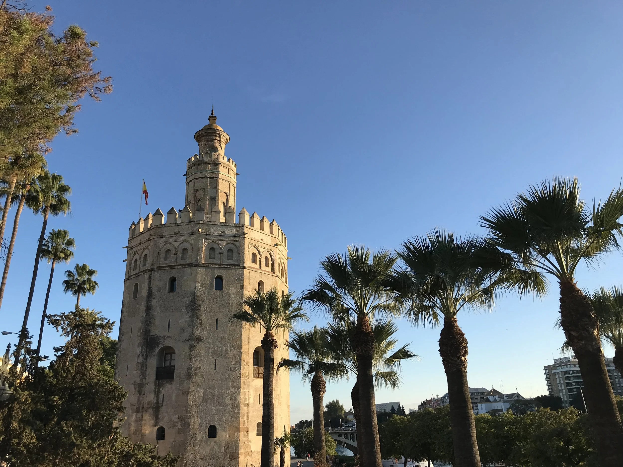 What I'm Up To - Week 45 &amp; 46