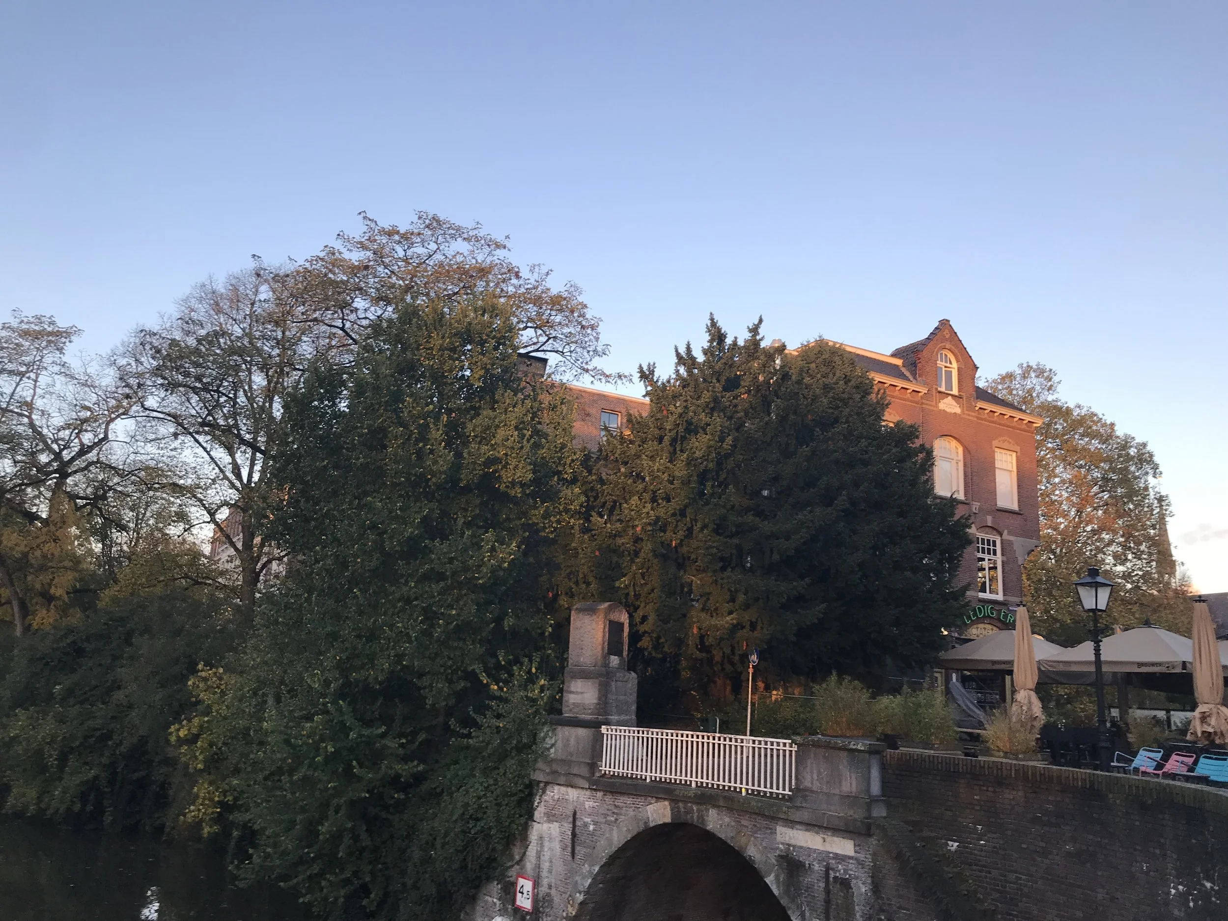 What I'm Up To - Week 44