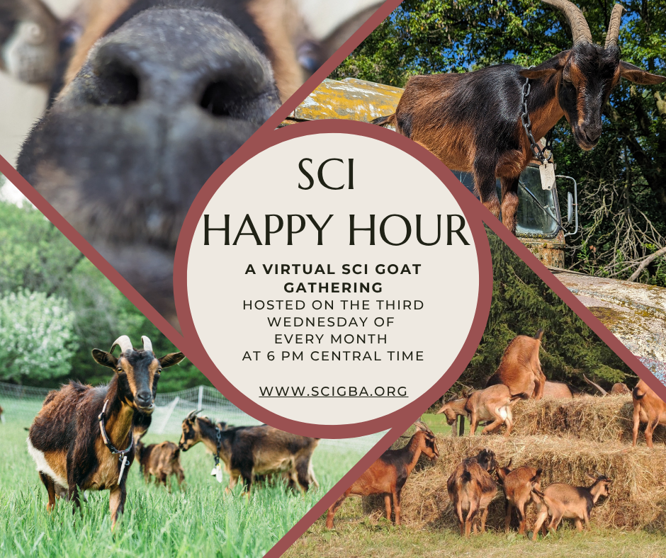 SCI Happy Hour-TBD