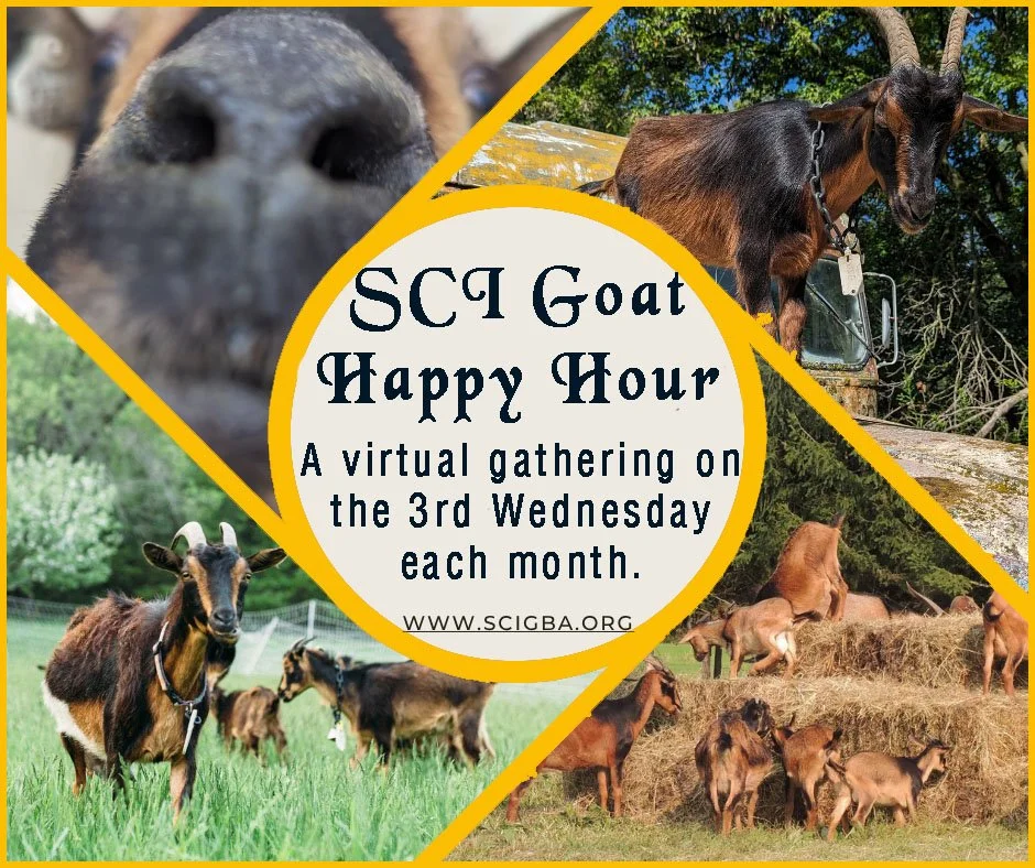 SCI Happy Hour- 1980’s genetics