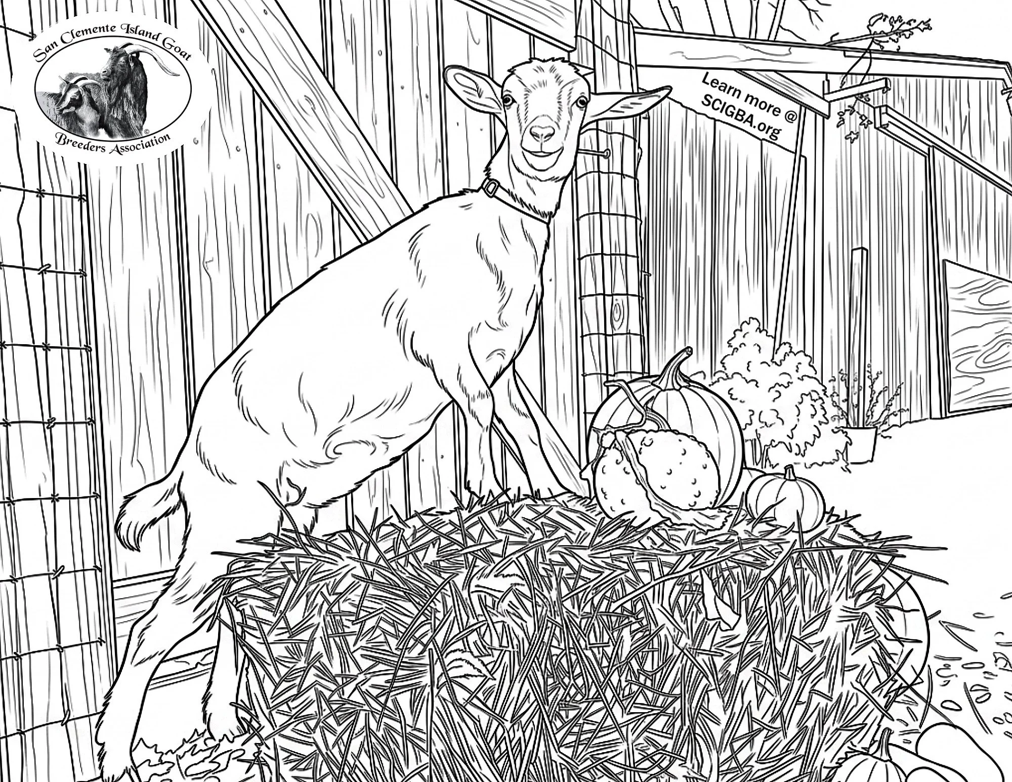 Fall Coloring Page