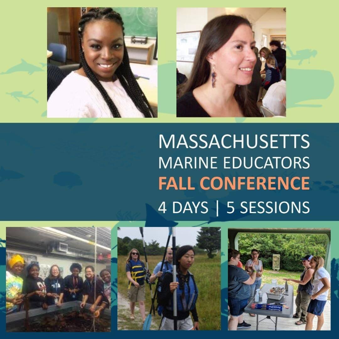 Join us for 5 amazing sessions on diversity in marine education during this year's virtual Fall Conference! Registration is free, but you must be a member of MME to attend.

Register 👉 massachusettsmarineeducators.org/boston-harbor-educators-confere