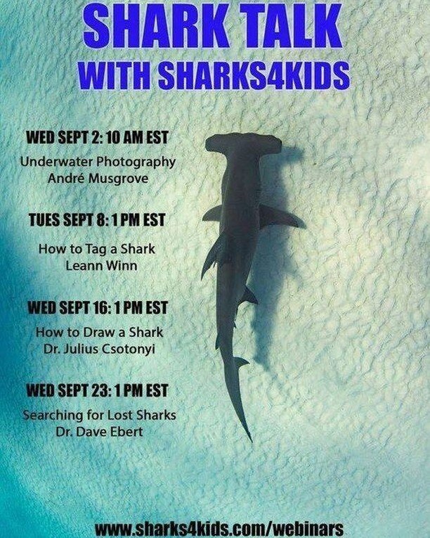 Tagging, drawing, and searching! Oh my! These sound like some great webinars for the whole family from @sharkeducation. 

sharks4kids.com/webinars

#oceanathome #knowyourocean #oceaneducation #marineeducation #shark #sharkeducation #ocean #oceanscien