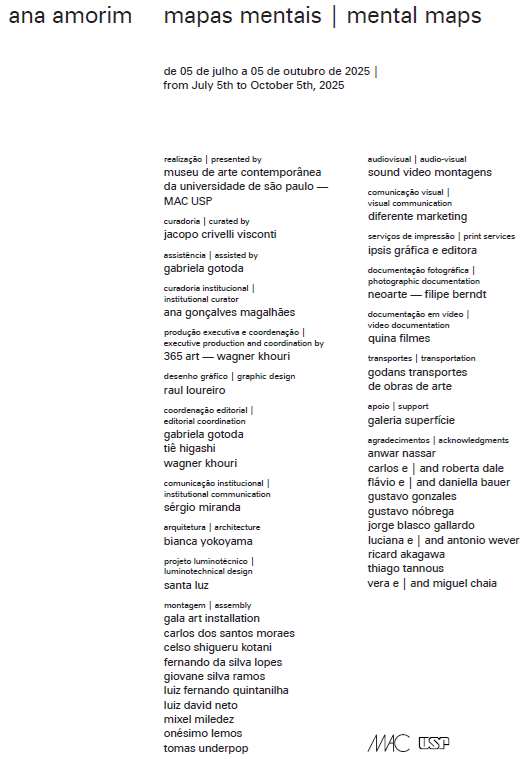 Credits Ana Amorim Mental Maps.png