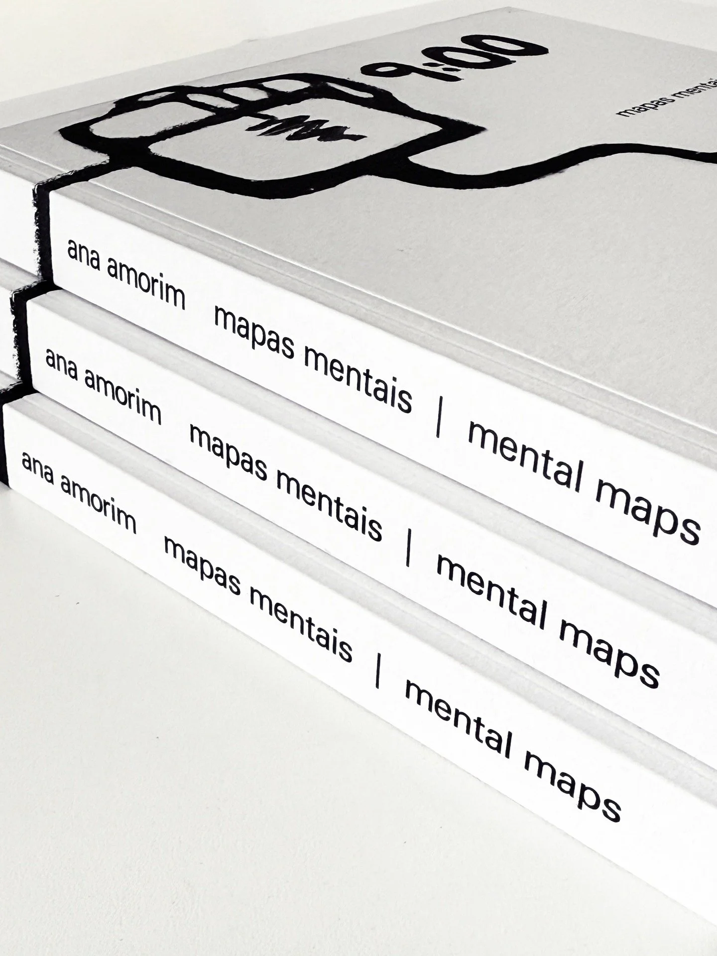 Cat&aacute;logo dispon&iacute;vel no site da Cosac (www.cosacedicoes.com.br), na livraria Edusp do MAC USP, assim como nas principais livrarias.

Registro ilustrado da exposi&ccedil;&atilde;o individual da artista brasileira, inaugurada em julho de 2