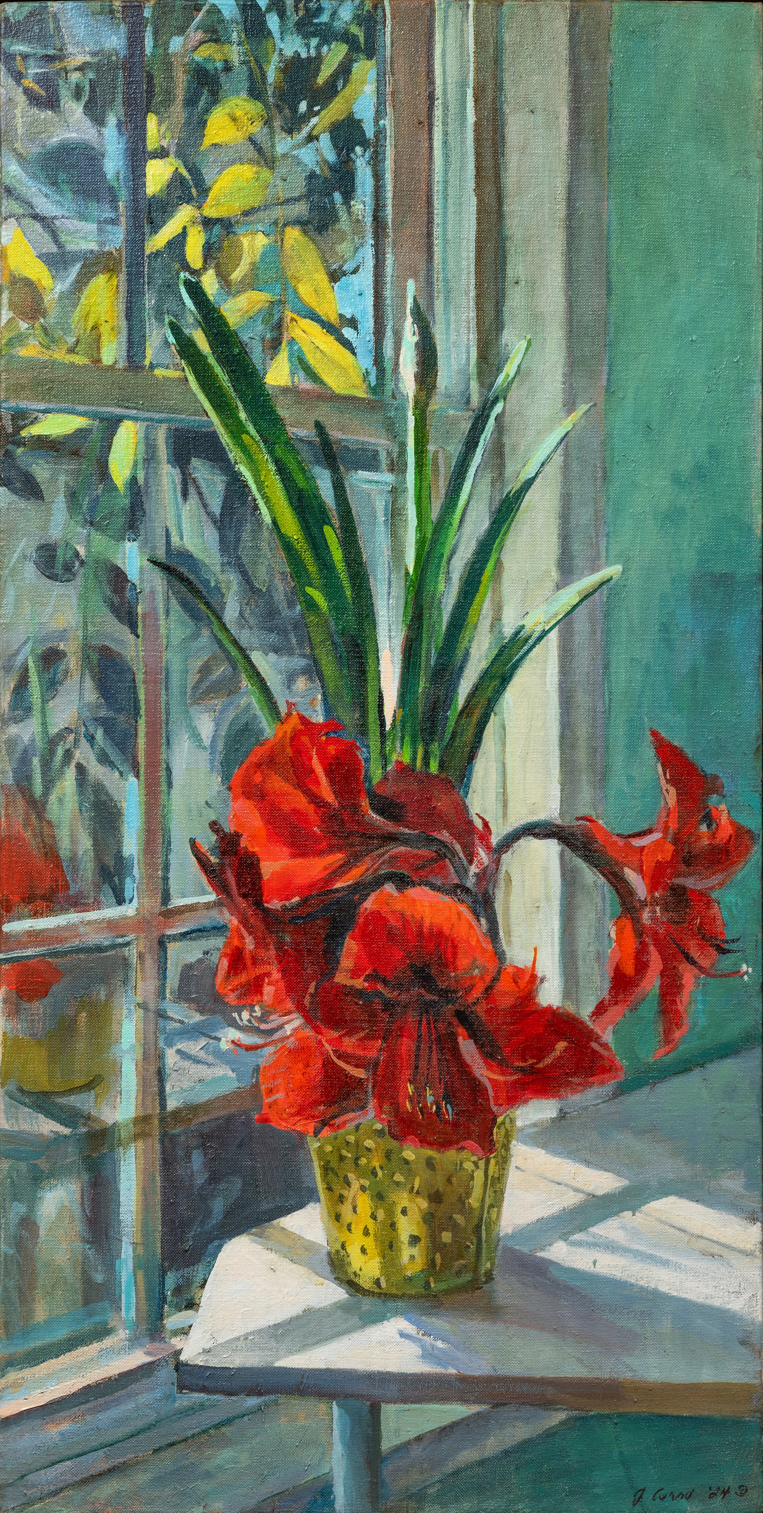  Red Amaryllis