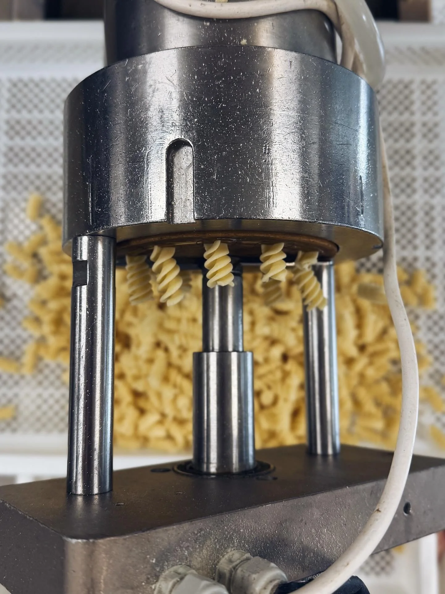 In case you missed it: Gluten Free Fusilli is back! Boxes available in the shop and at our markets only! Just in time for all of the holiday dishes! What&rsquo;s your favorite pasta dish to serve up this time of year? 

#freshpasta #shoplocal #shopsm