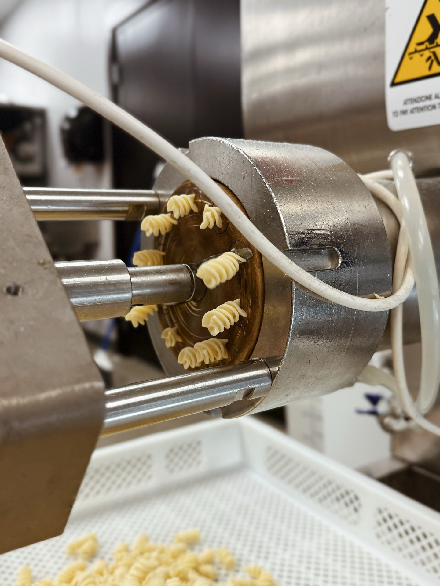 When life gives you flour &amp; water, make pasta 🍝