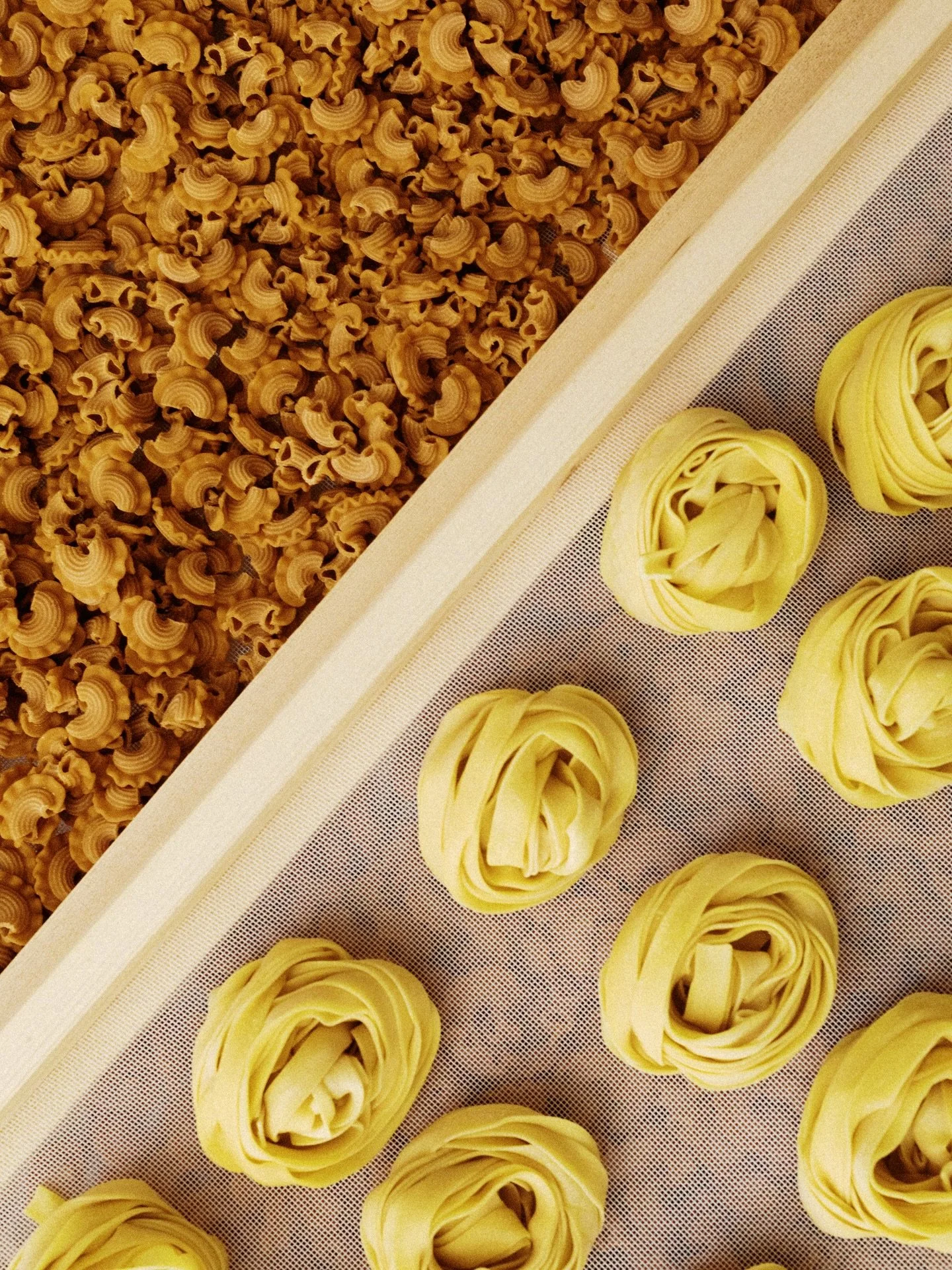 Spicy Garlic Mohawks vs Semolina Pappardelle - who are you choosing? 
P.S there are no wrong answers