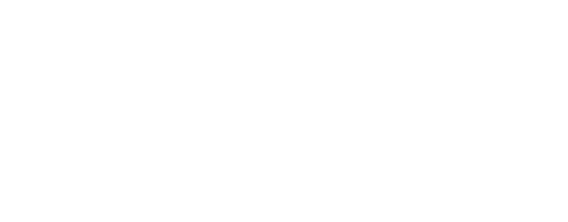 Crazy Cat Lady