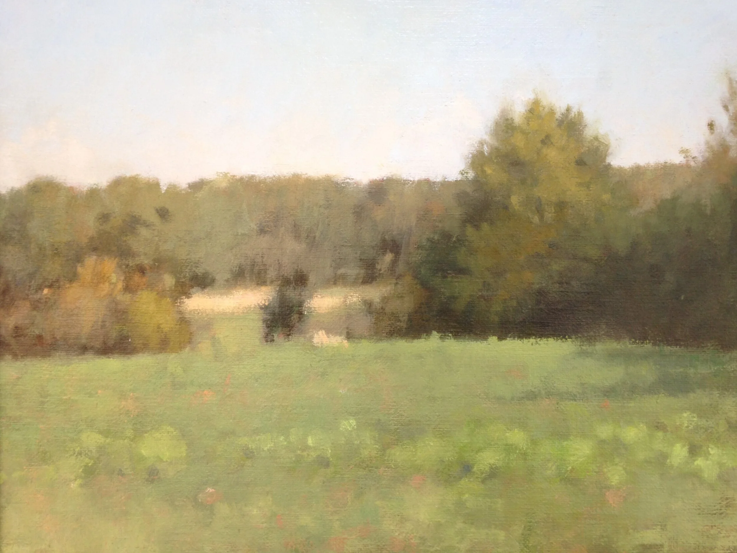 Early Autumn on Owensville 2018.JPG