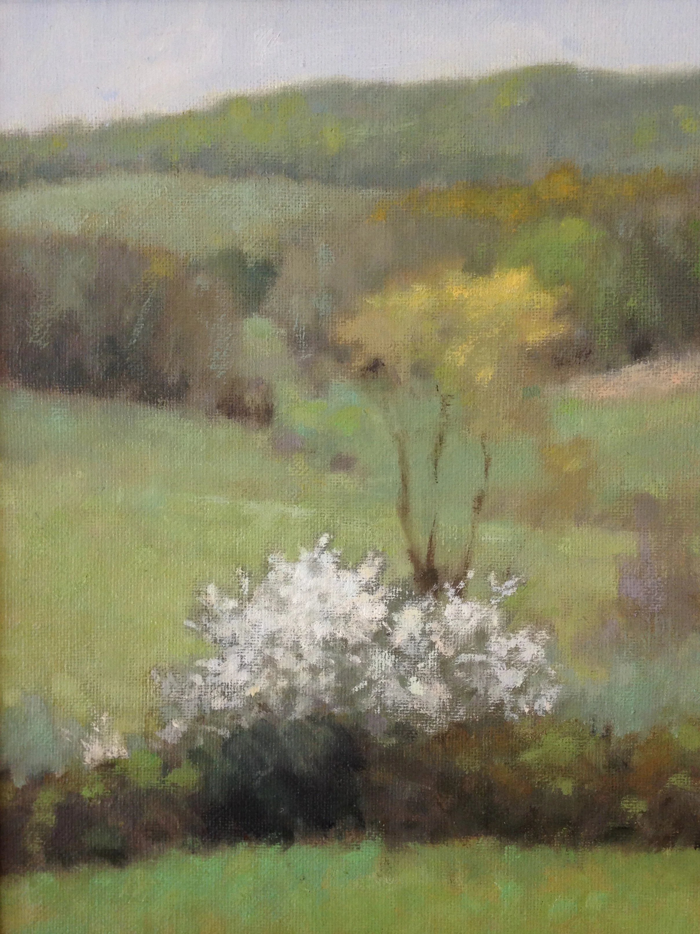 Blooming Tree 2019 Painting.JPG
