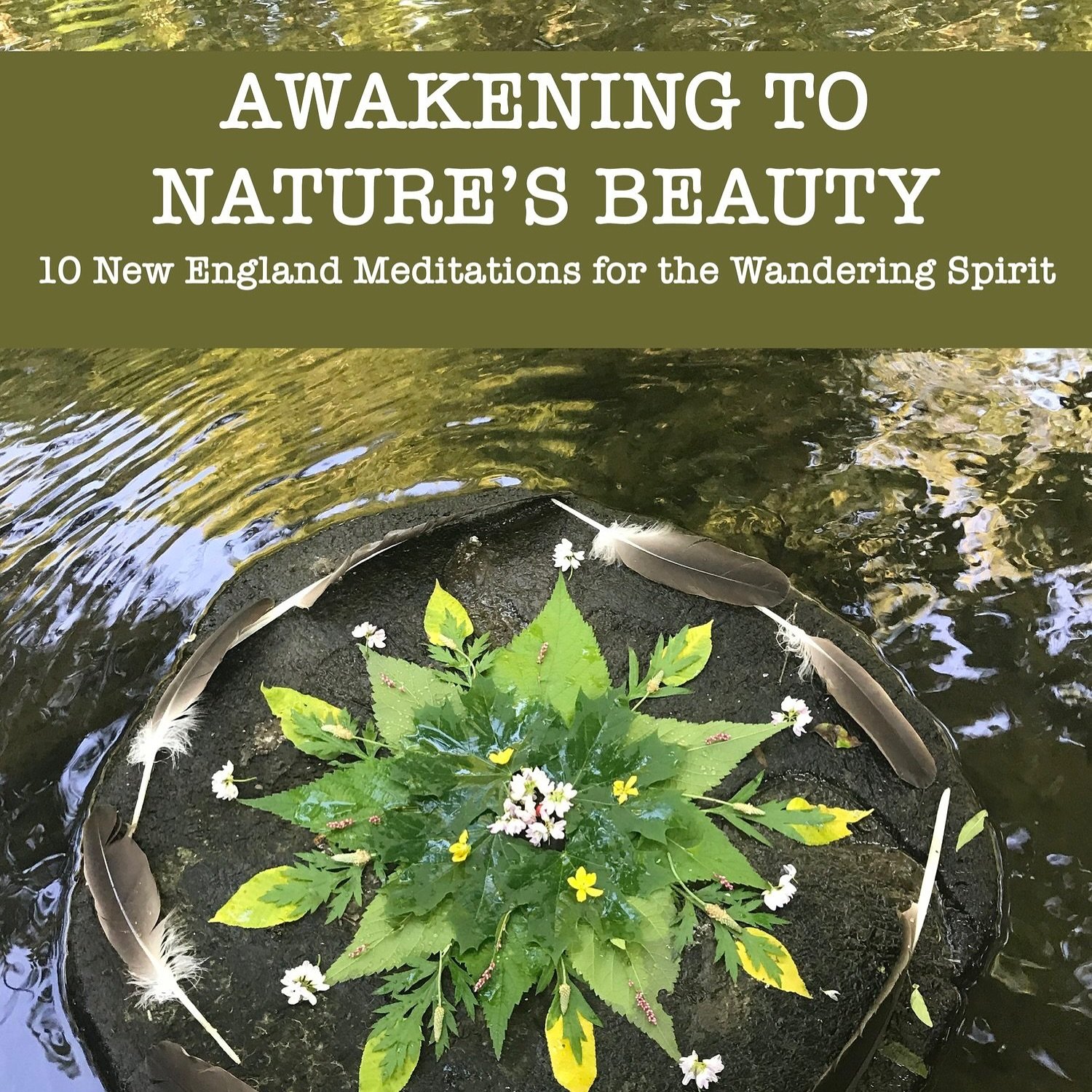 Happy Earth Day and third publishing anniversary to Awakening to Nature&rsquo;s Beauty! 🥳 This book of short stories, including original art from Moriah Mylod-Daggett @birdseyeintheattic has opened up many conversations with readers about the import