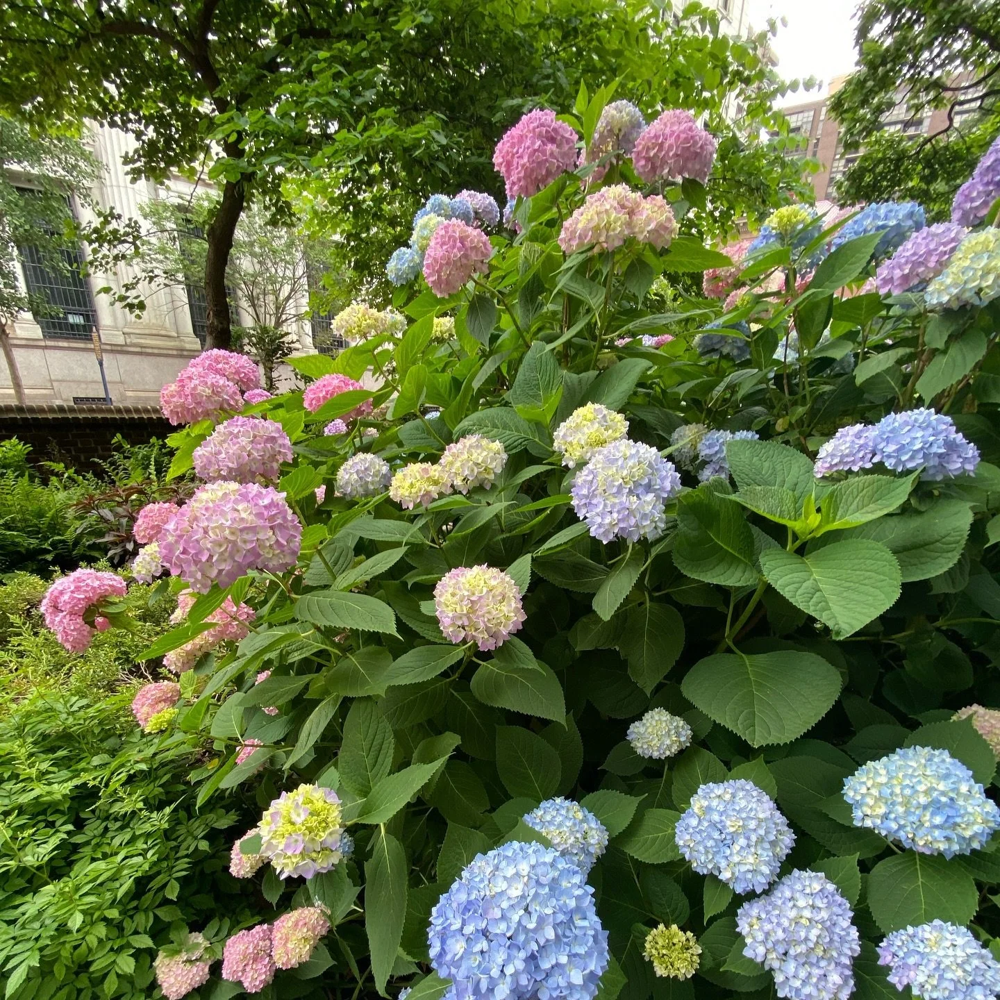 A fellow social impact leader recently asked me the question, “Can you share one thing you’re proud of accomplishing lately?”
I think in years past my answer would likely have revolved around an external-based affirmation - pe