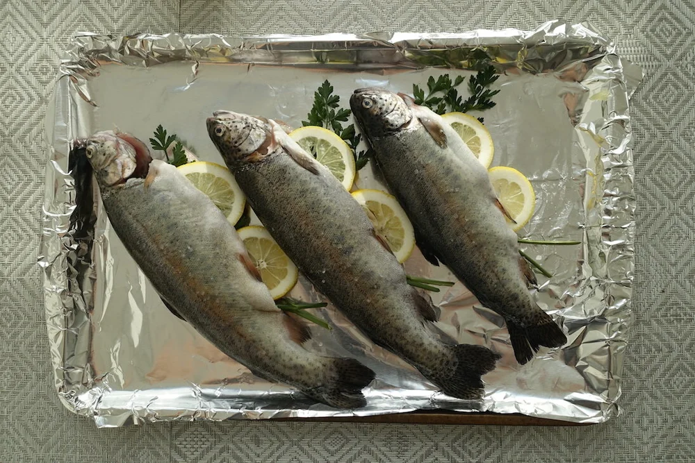 mintandsumac-baked-rainbow-trout-onion-salad.JPG