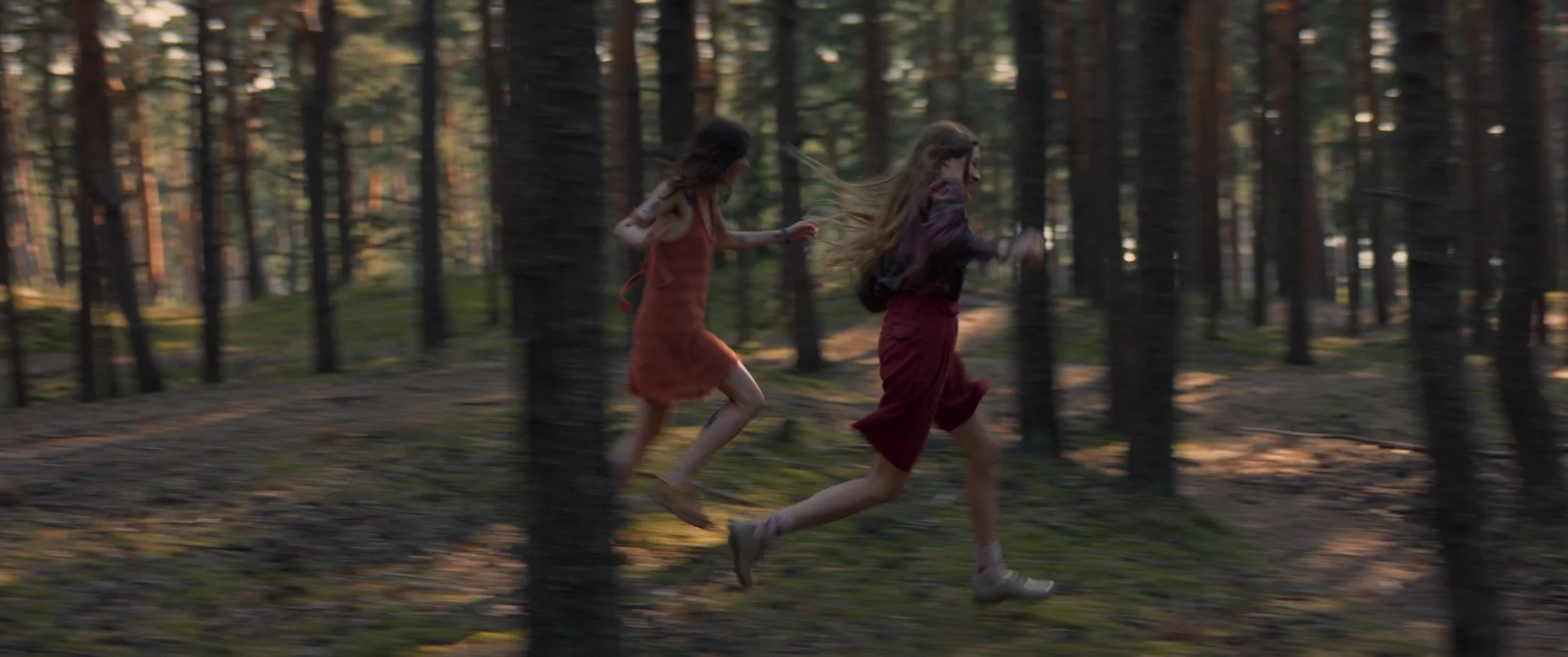 Still 2025-10-25 141012_1.2.84.jpg