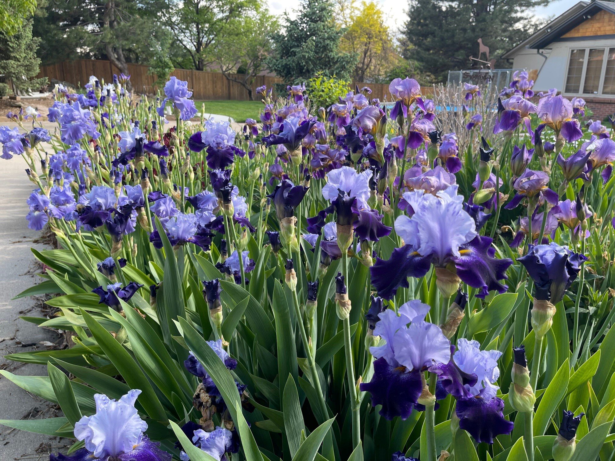 Meadow Hills Estates